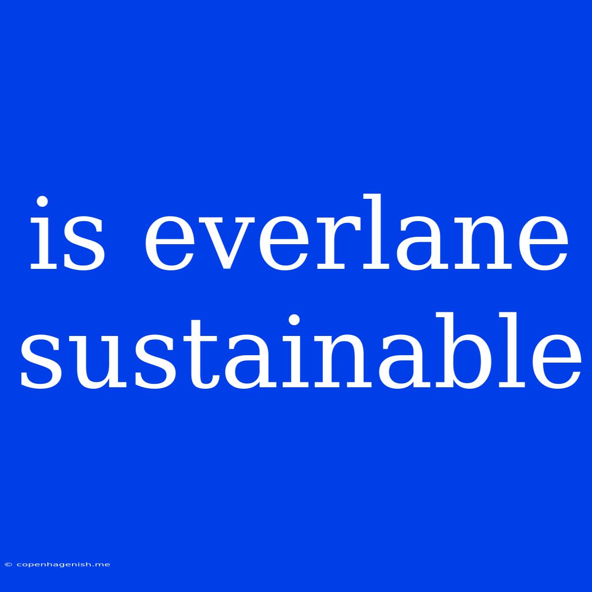 Is Everlane Sustainable