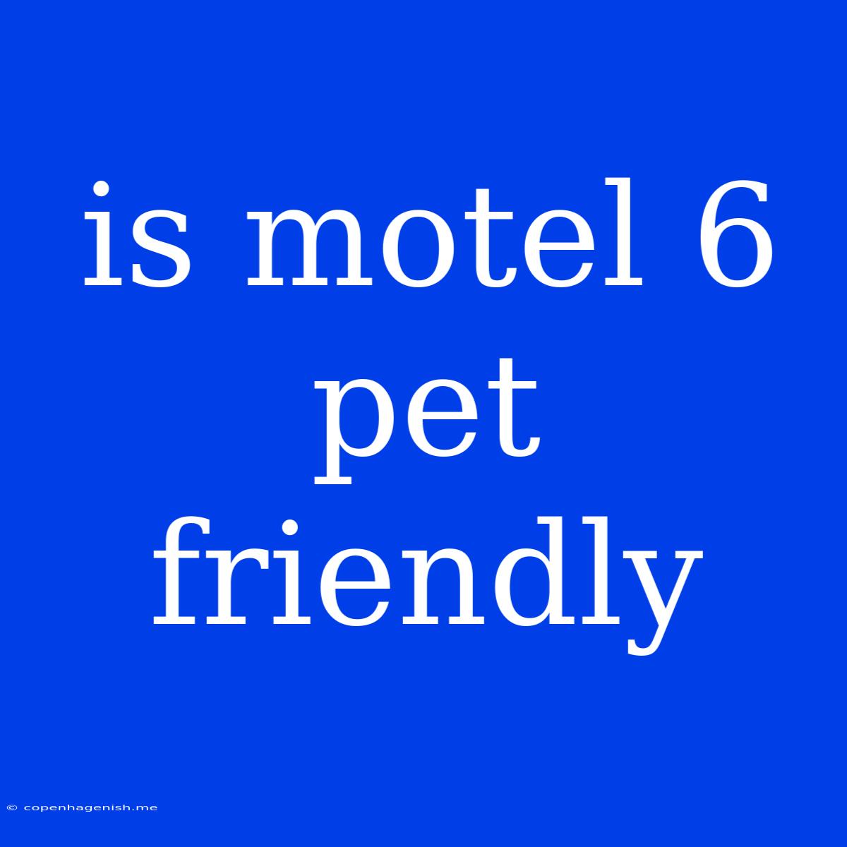 Is Motel 6 Pet Friendly