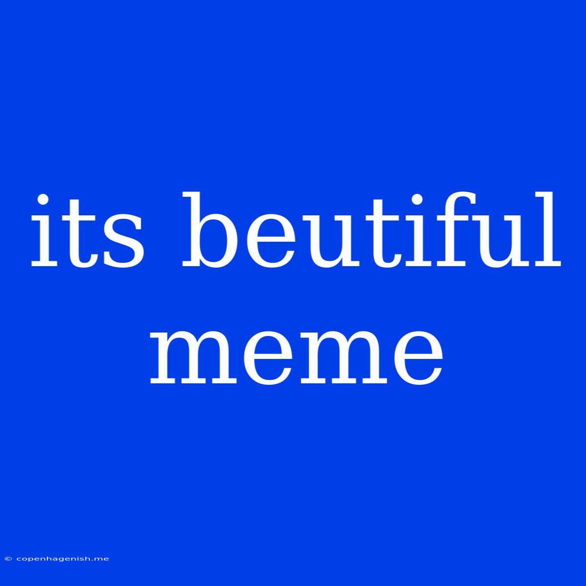 Its Beutiful Meme