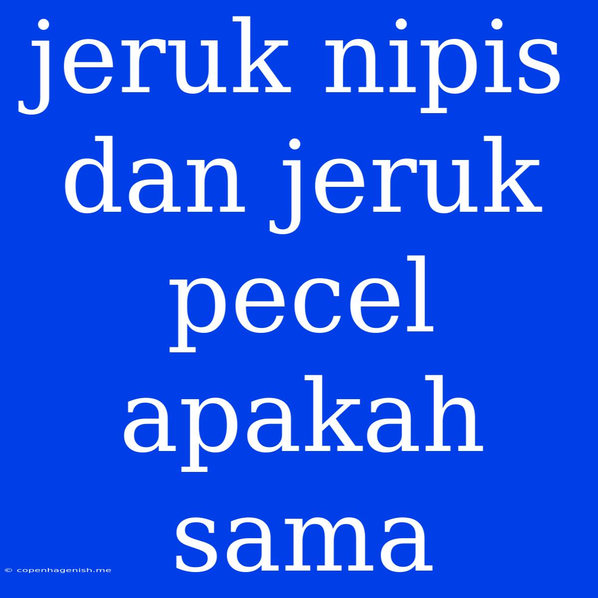 Jeruk Nipis Dan Jeruk Pecel Apakah Sama