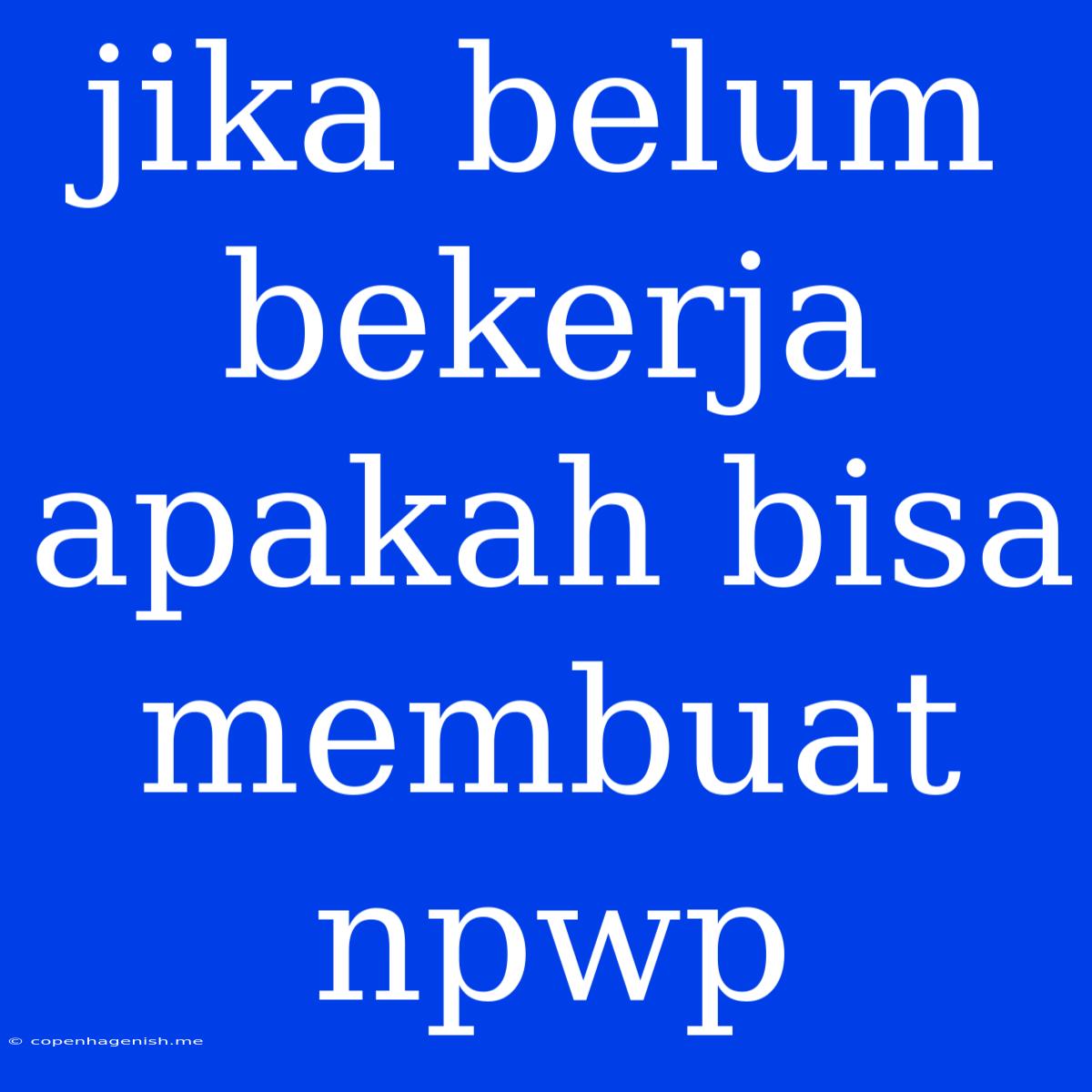 Jika Belum Bekerja Apakah Bisa Membuat Npwp