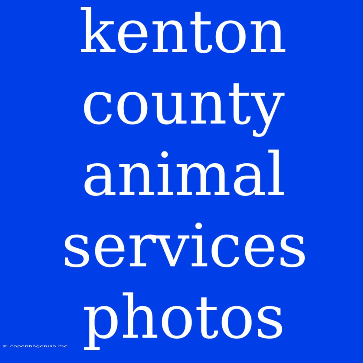 Kenton County Animal Services Photos