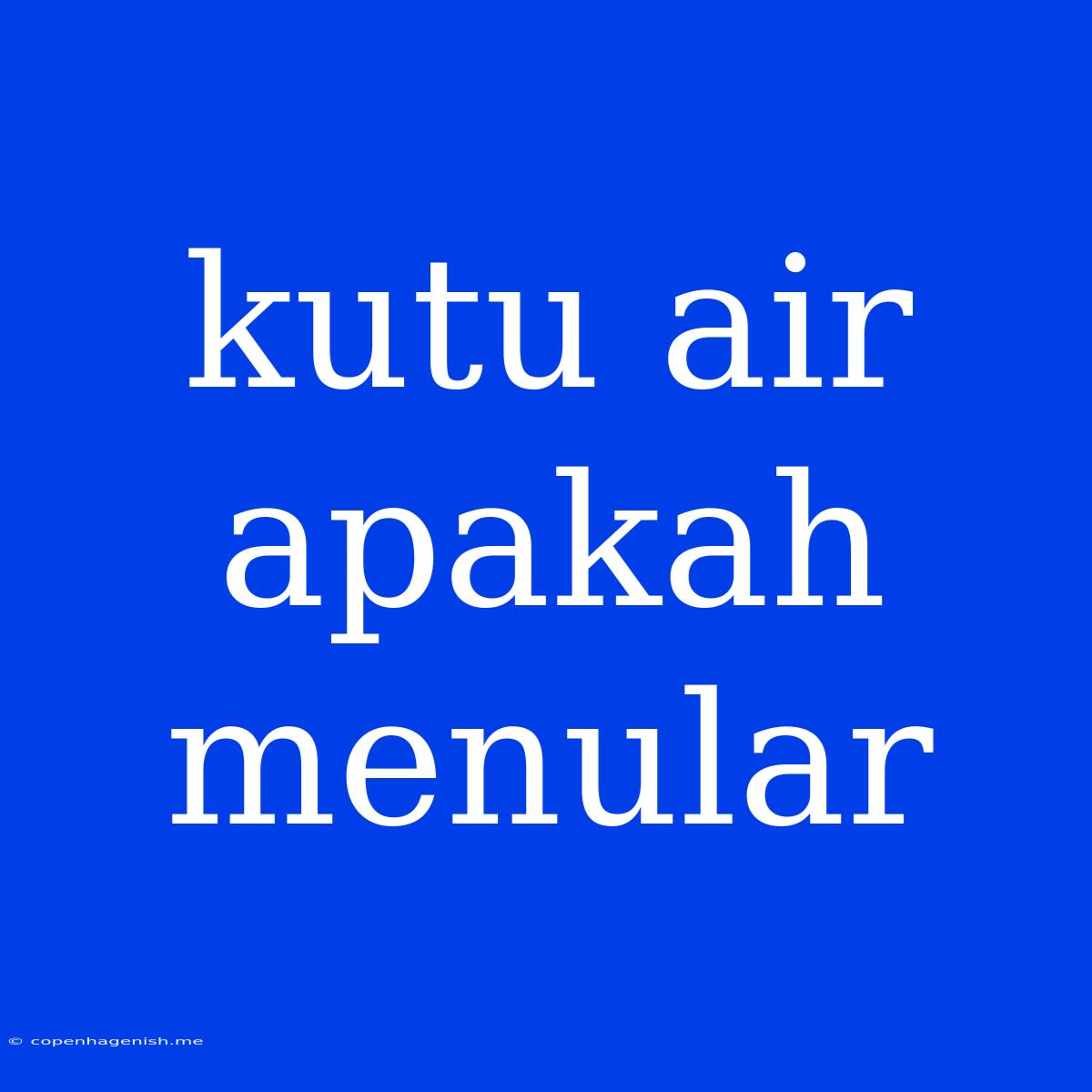 Kutu Air Apakah Menular