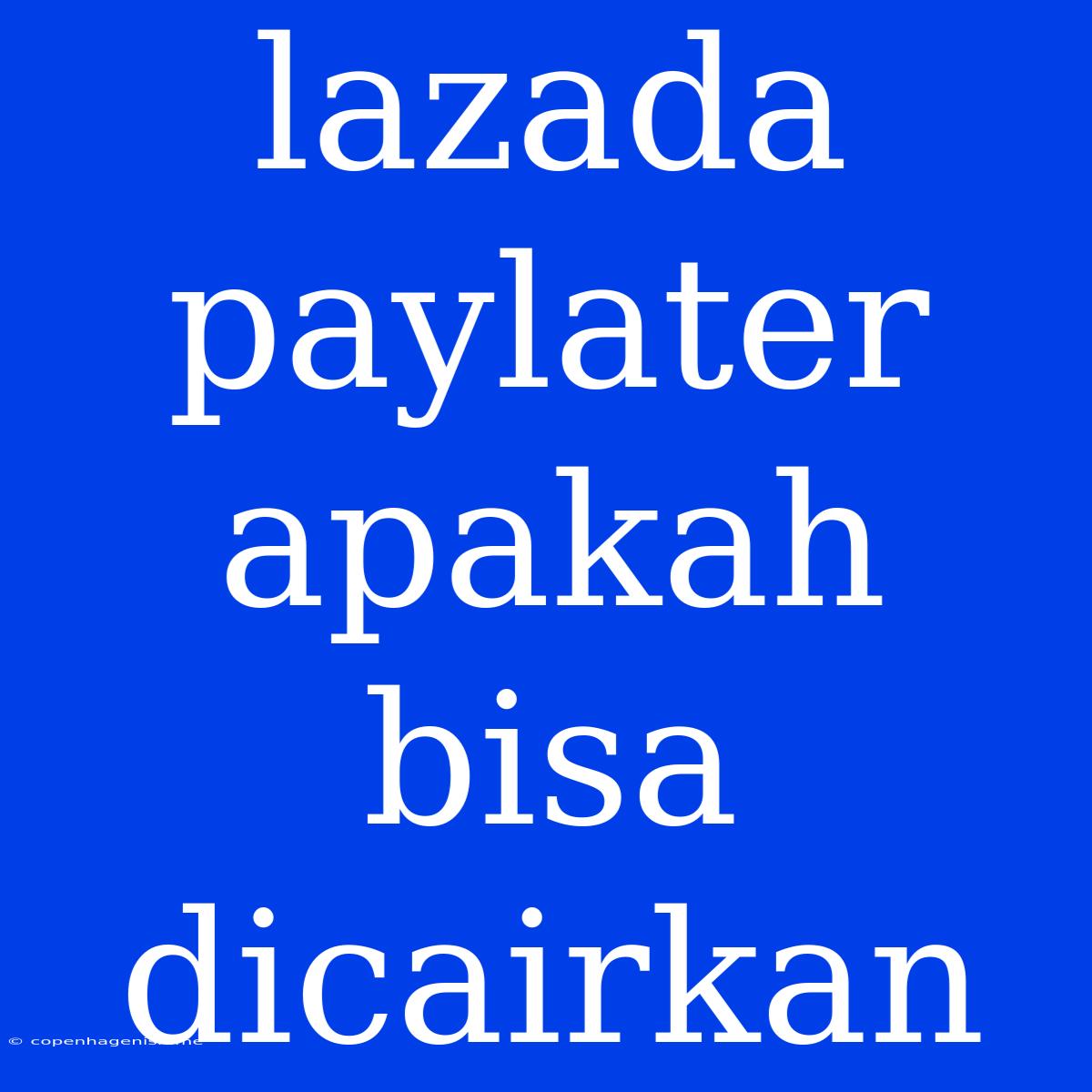 Lazada Paylater Apakah Bisa Dicairkan