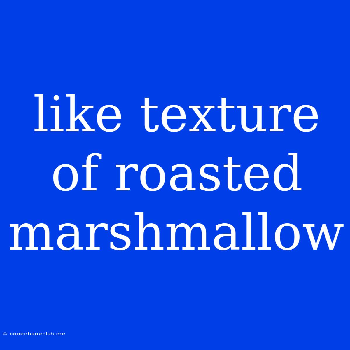 Like Texture Of Roasted Marshmallow