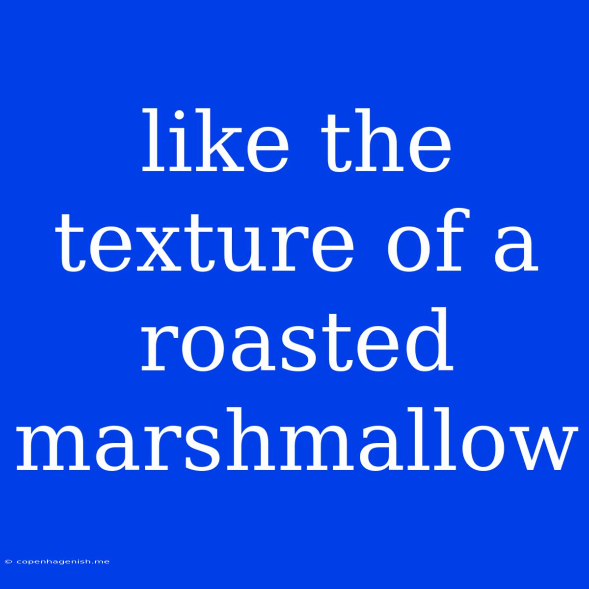 Like The Texture Of A Roasted Marshmallow