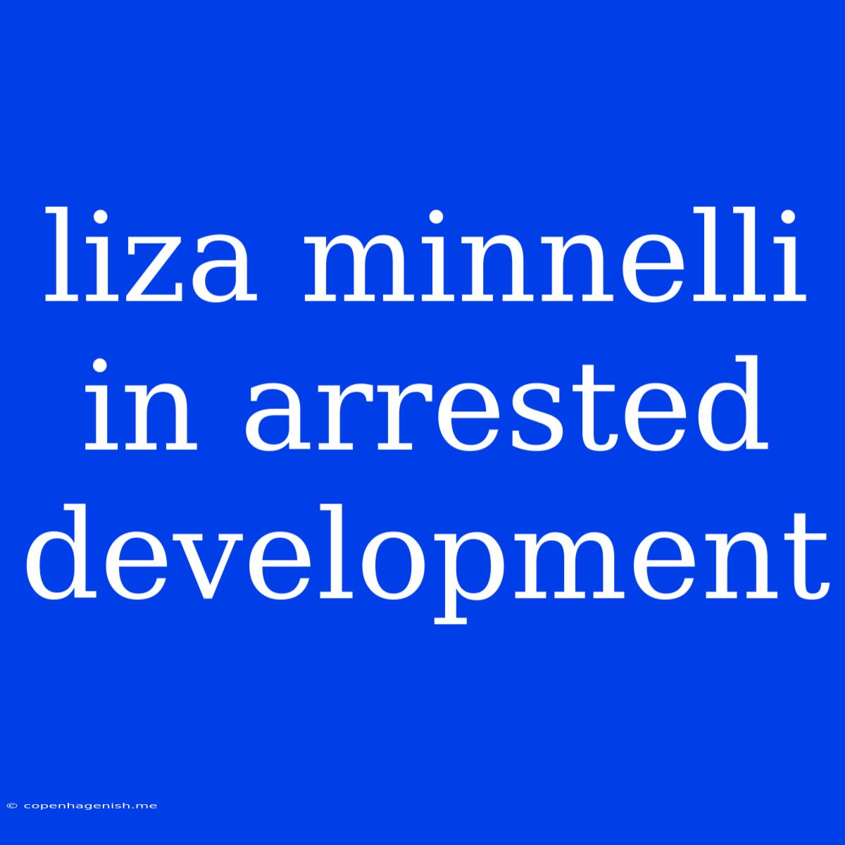 Liza Minnelli In Arrested Development