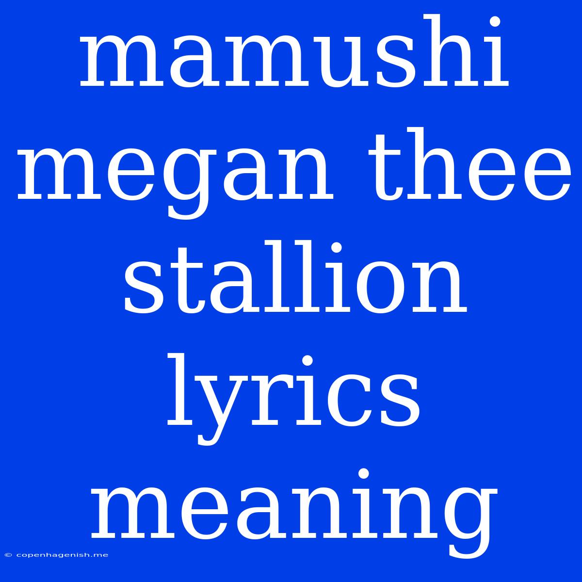 Mamushi Megan Thee Stallion Lyrics Meaning