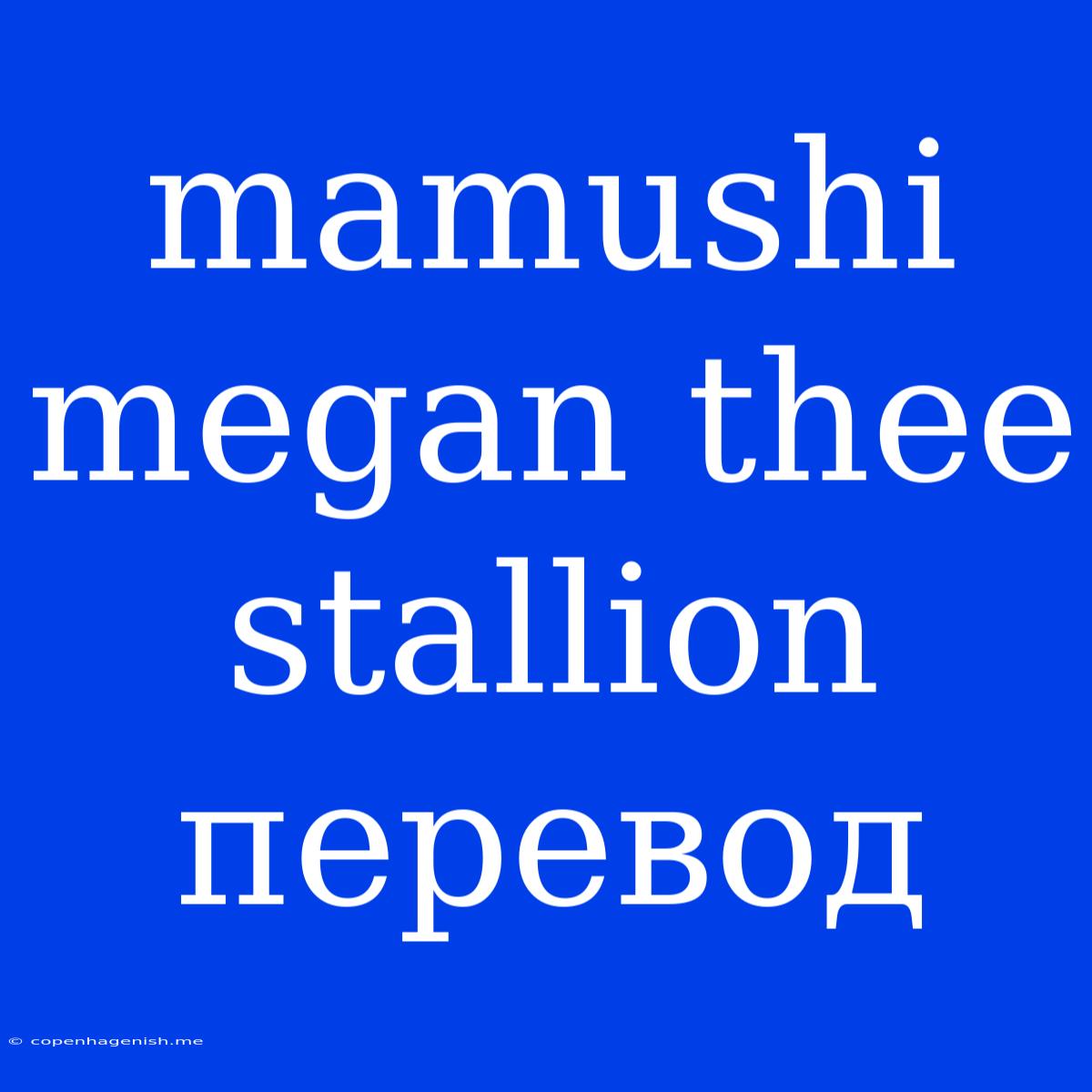 Mamushi Megan Thee Stallion Перевод