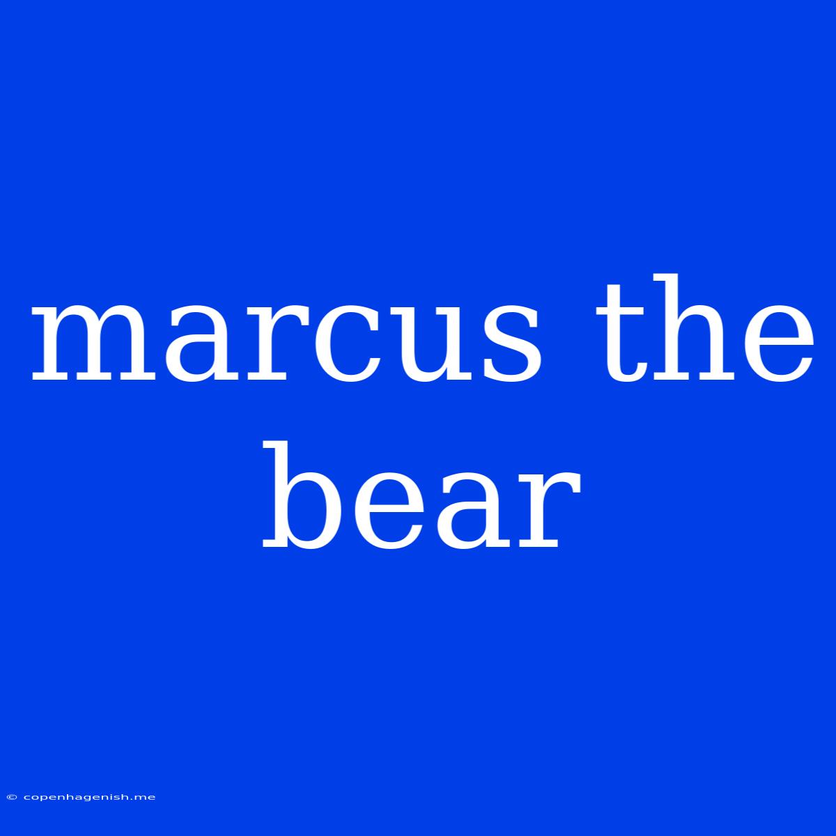 Marcus The Bear