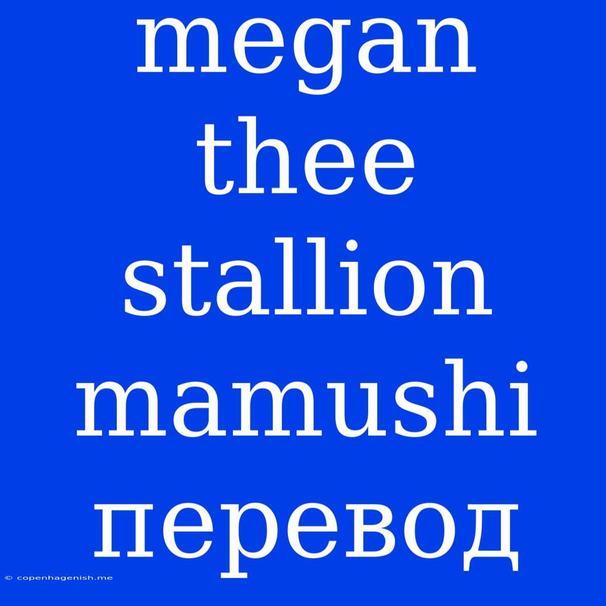 Megan Thee Stallion Mamushi Перевод