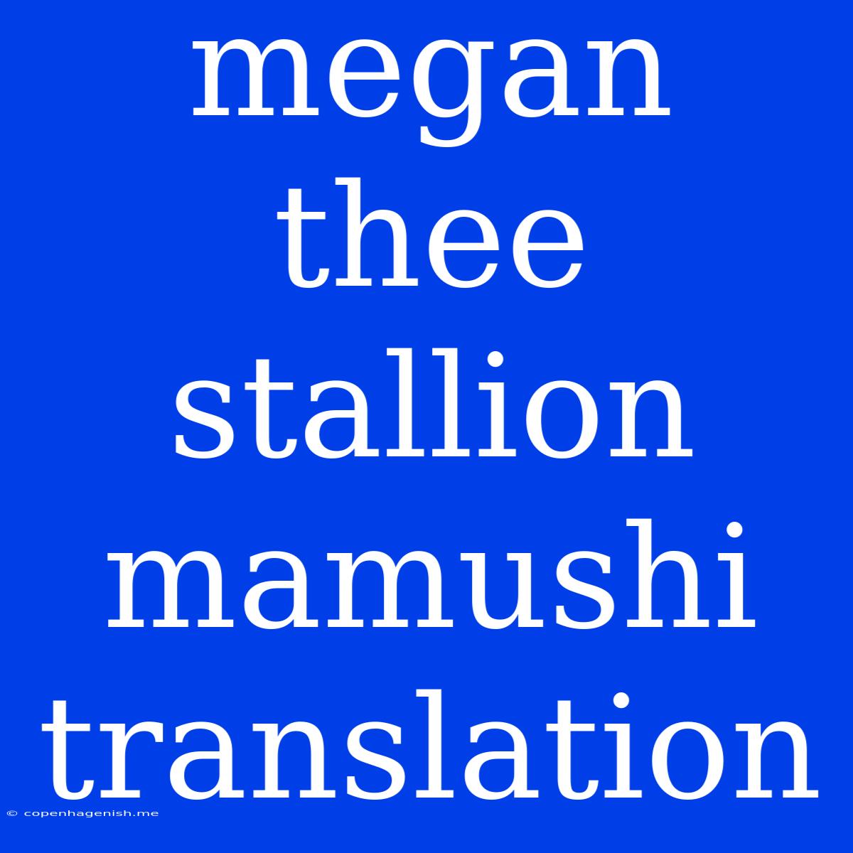 Megan Thee Stallion Mamushi Translation