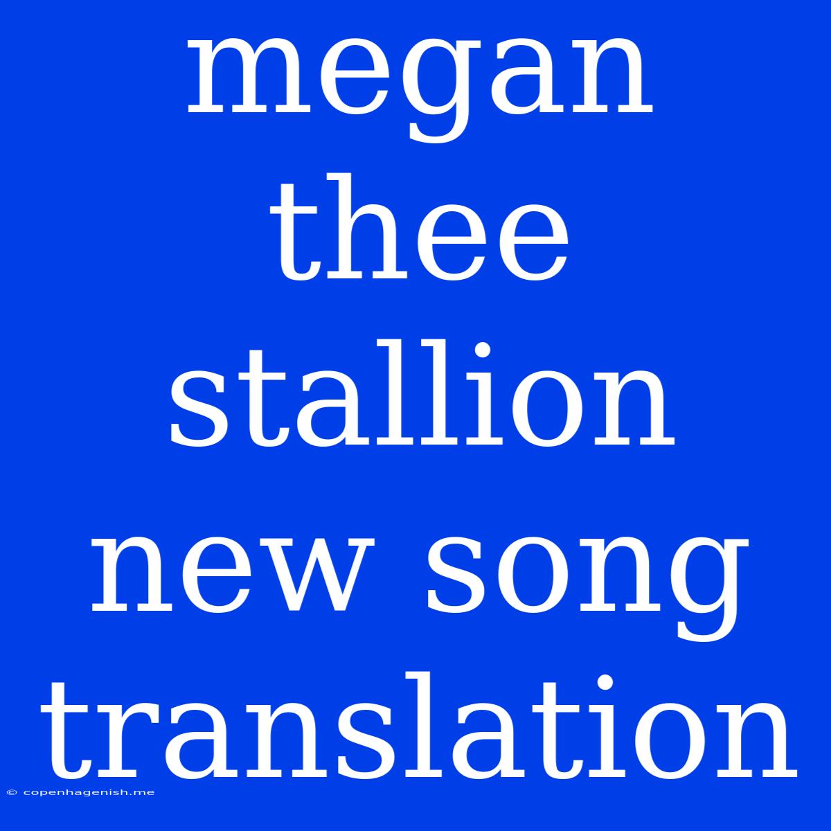 Megan Thee Stallion New Song Translation