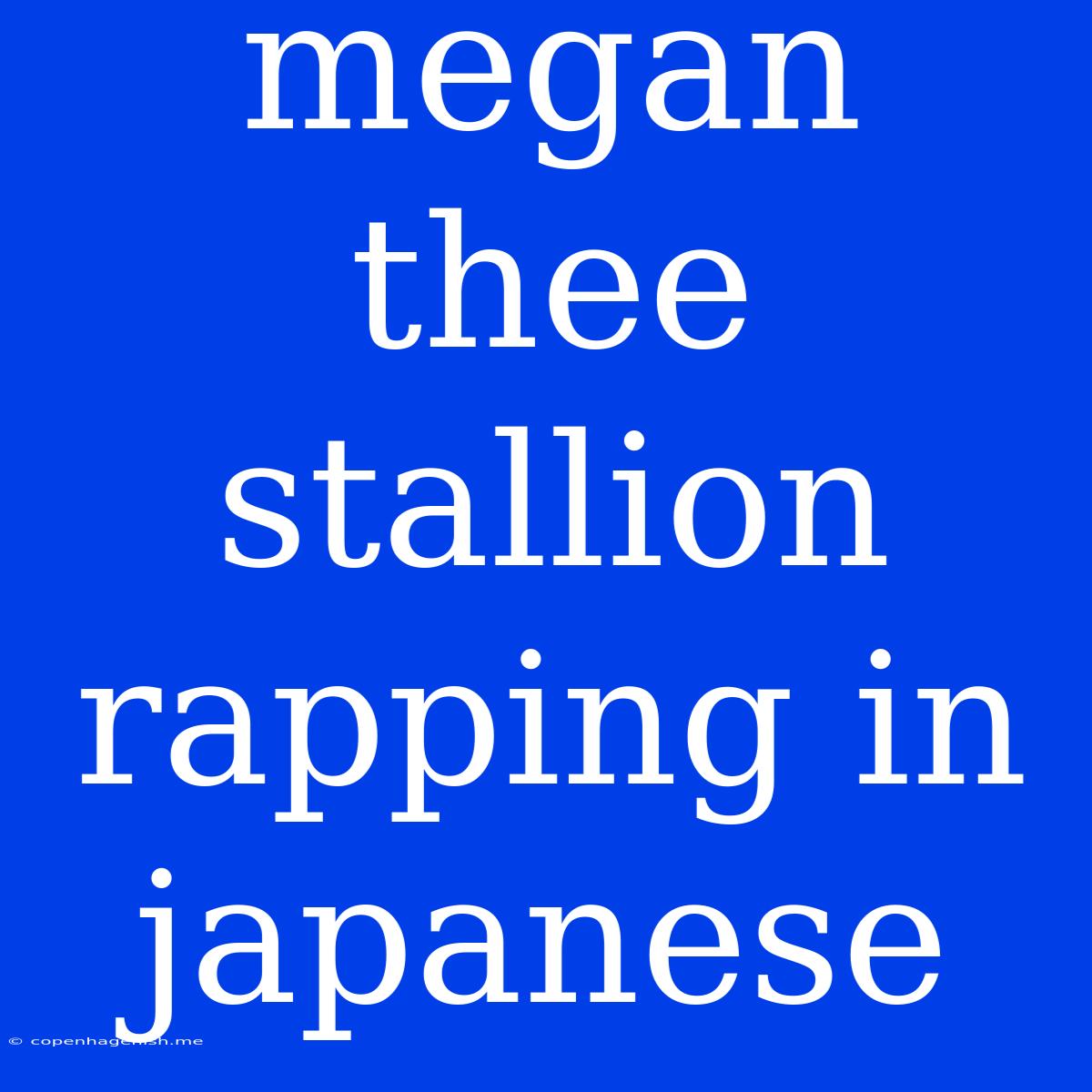 Megan Thee Stallion Rapping In Japanese