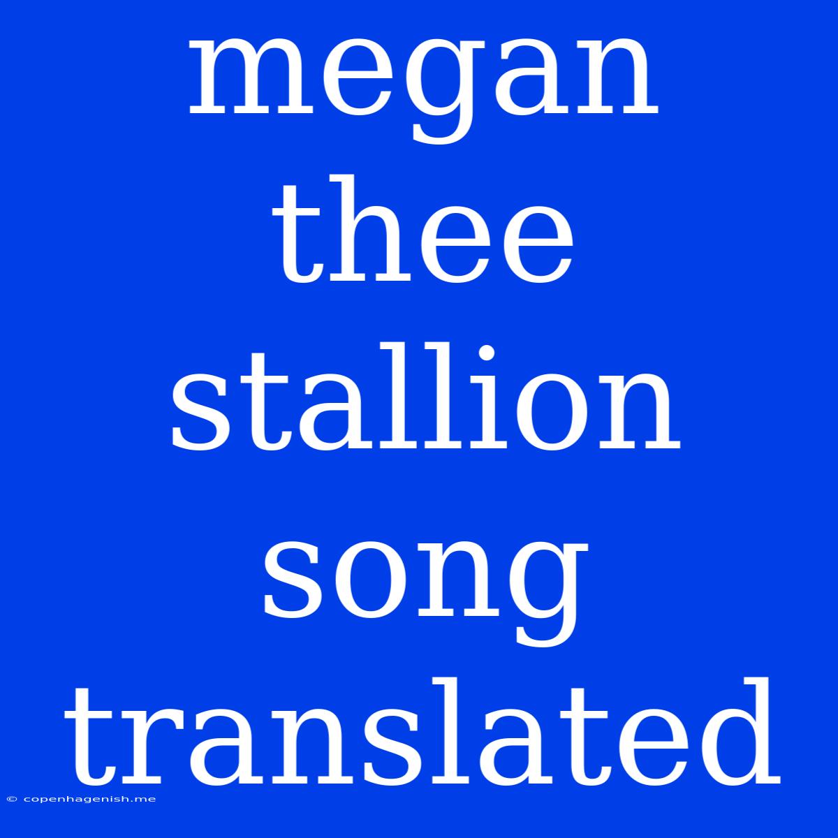 Megan Thee Stallion Song Translated