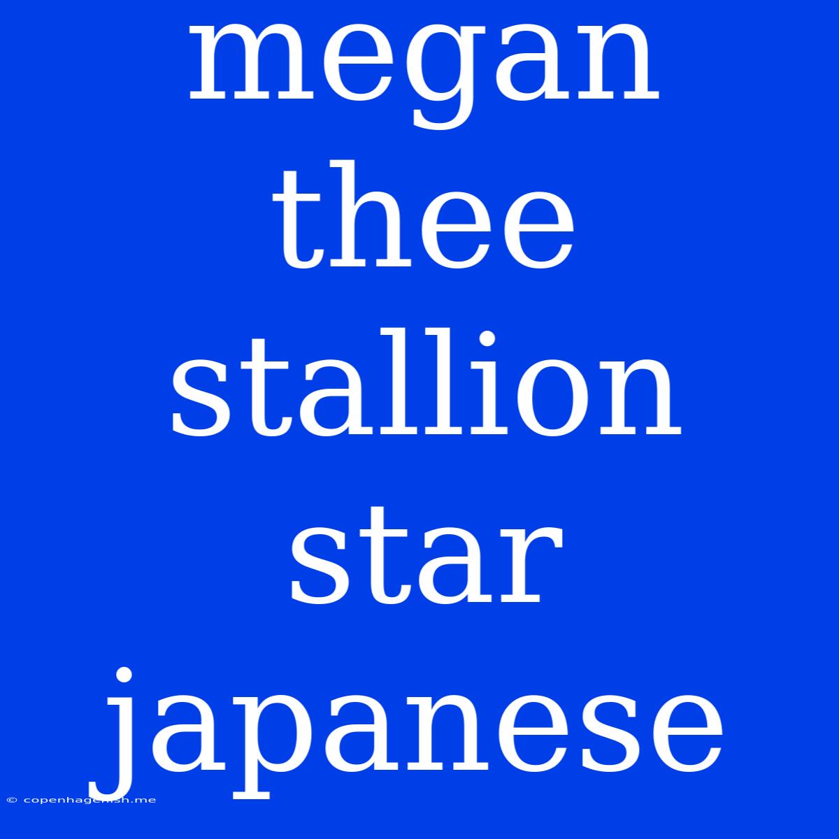 Megan Thee Stallion Star Japanese