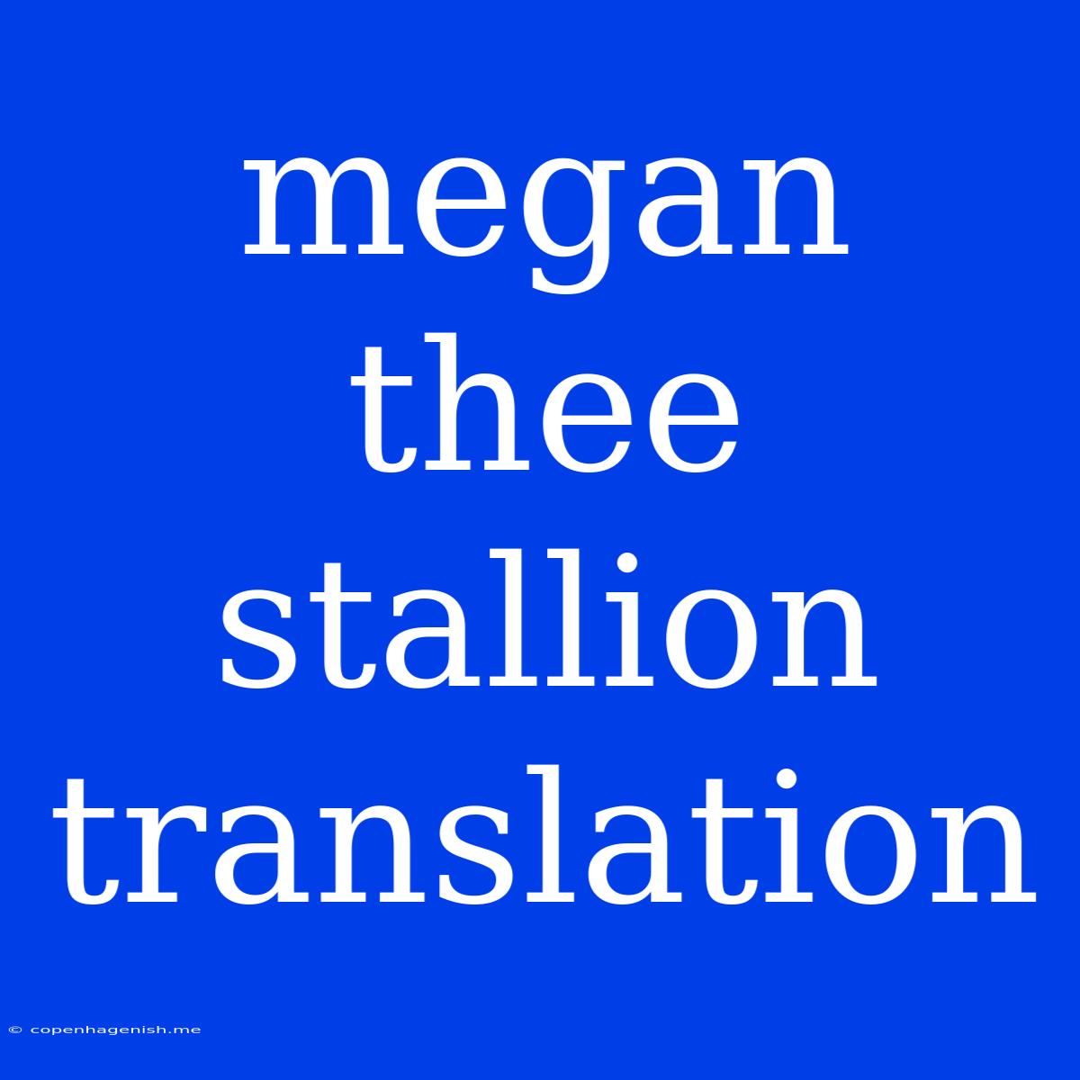 Megan Thee Stallion Translation