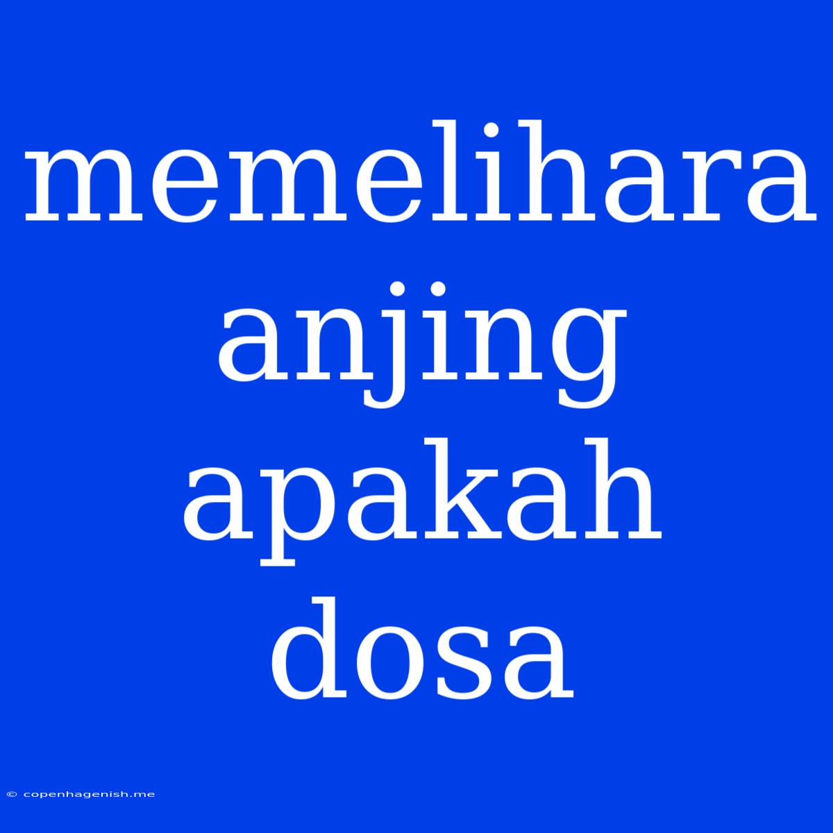 Memelihara Anjing Apakah Dosa