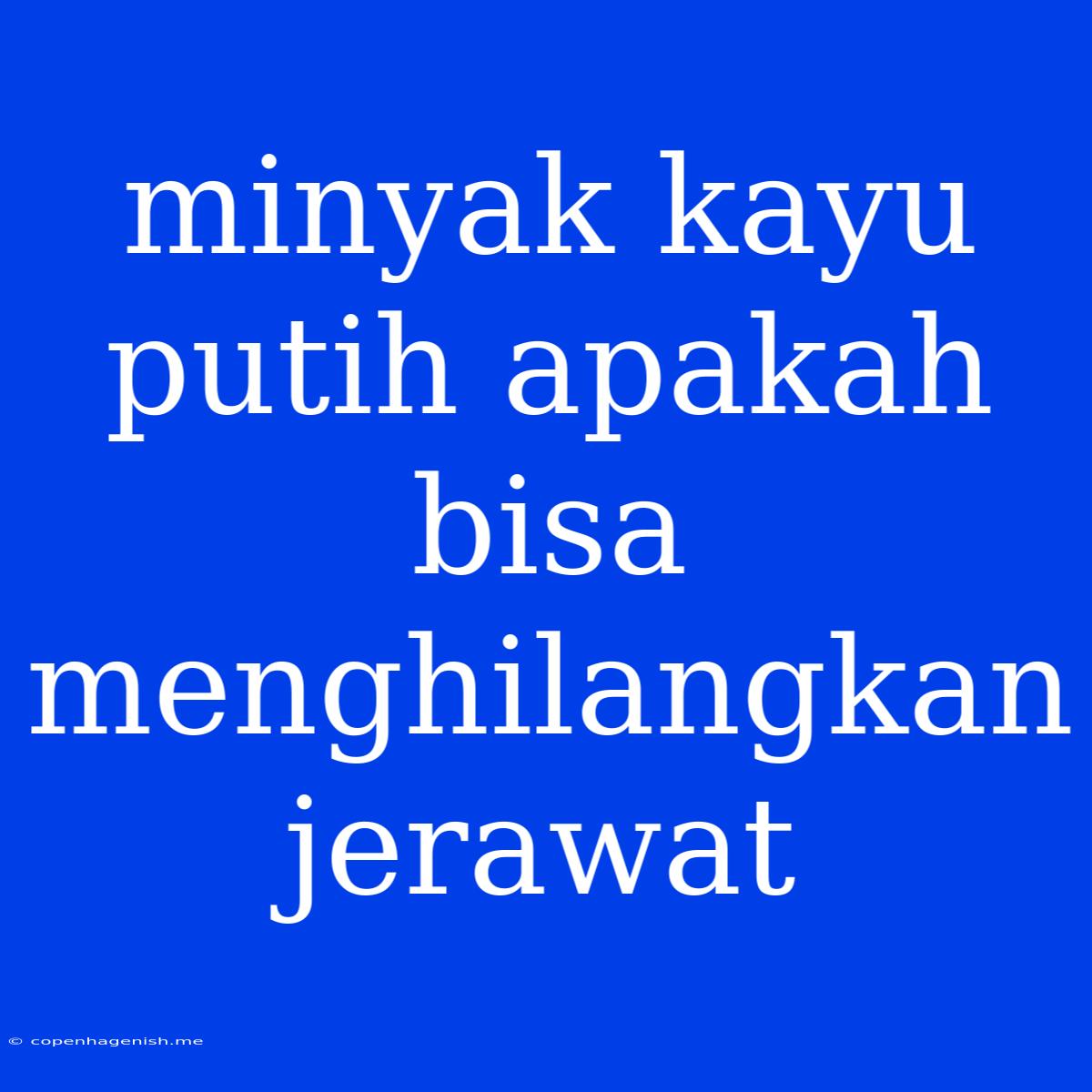 Minyak Kayu Putih Apakah Bisa Menghilangkan Jerawat