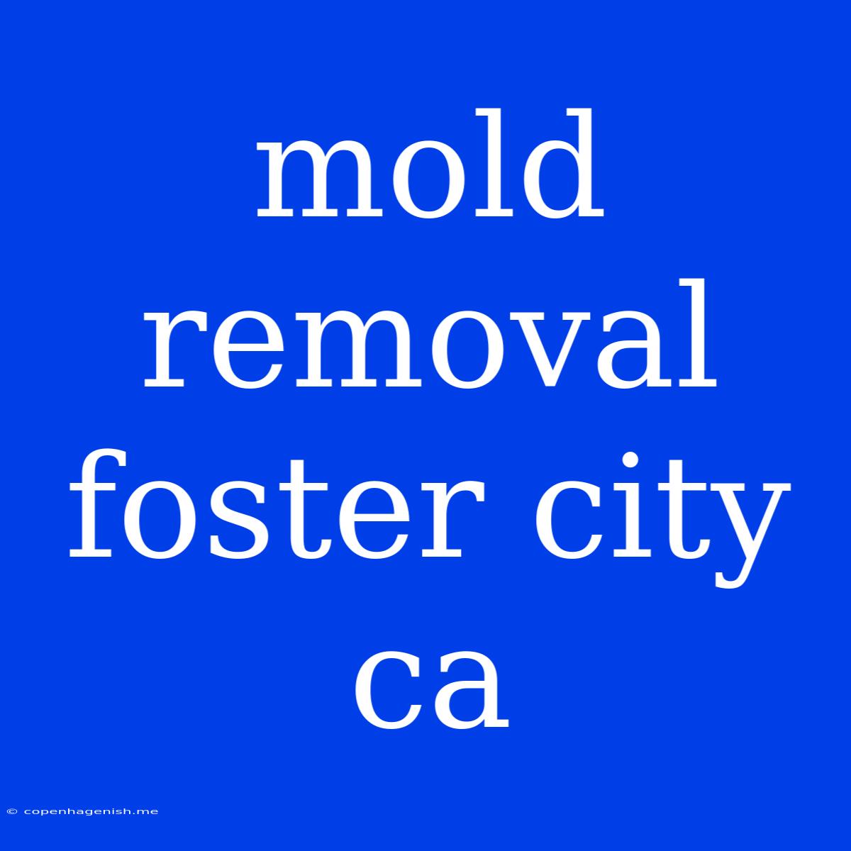 Mold Removal Foster City Ca