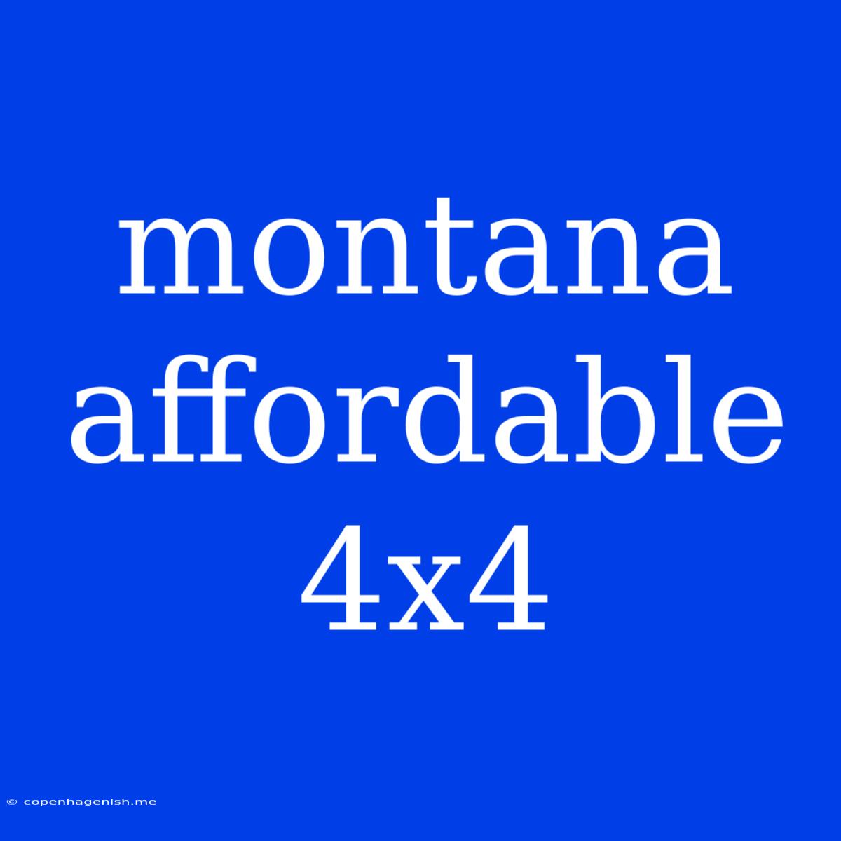 Montana Affordable 4x4