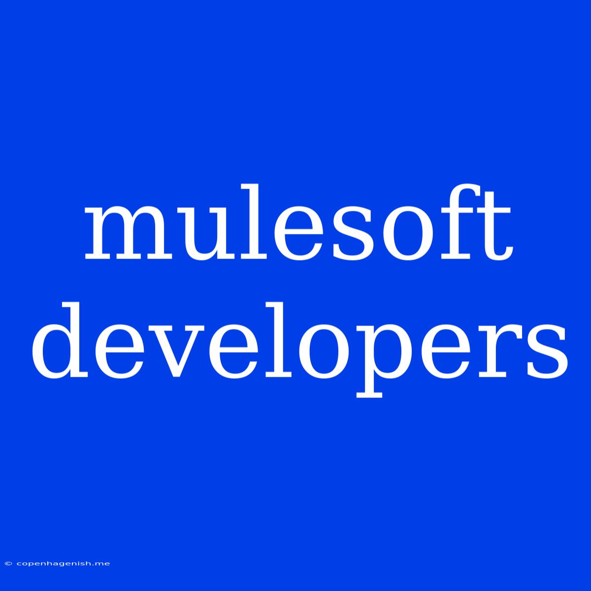 Mulesoft Developers