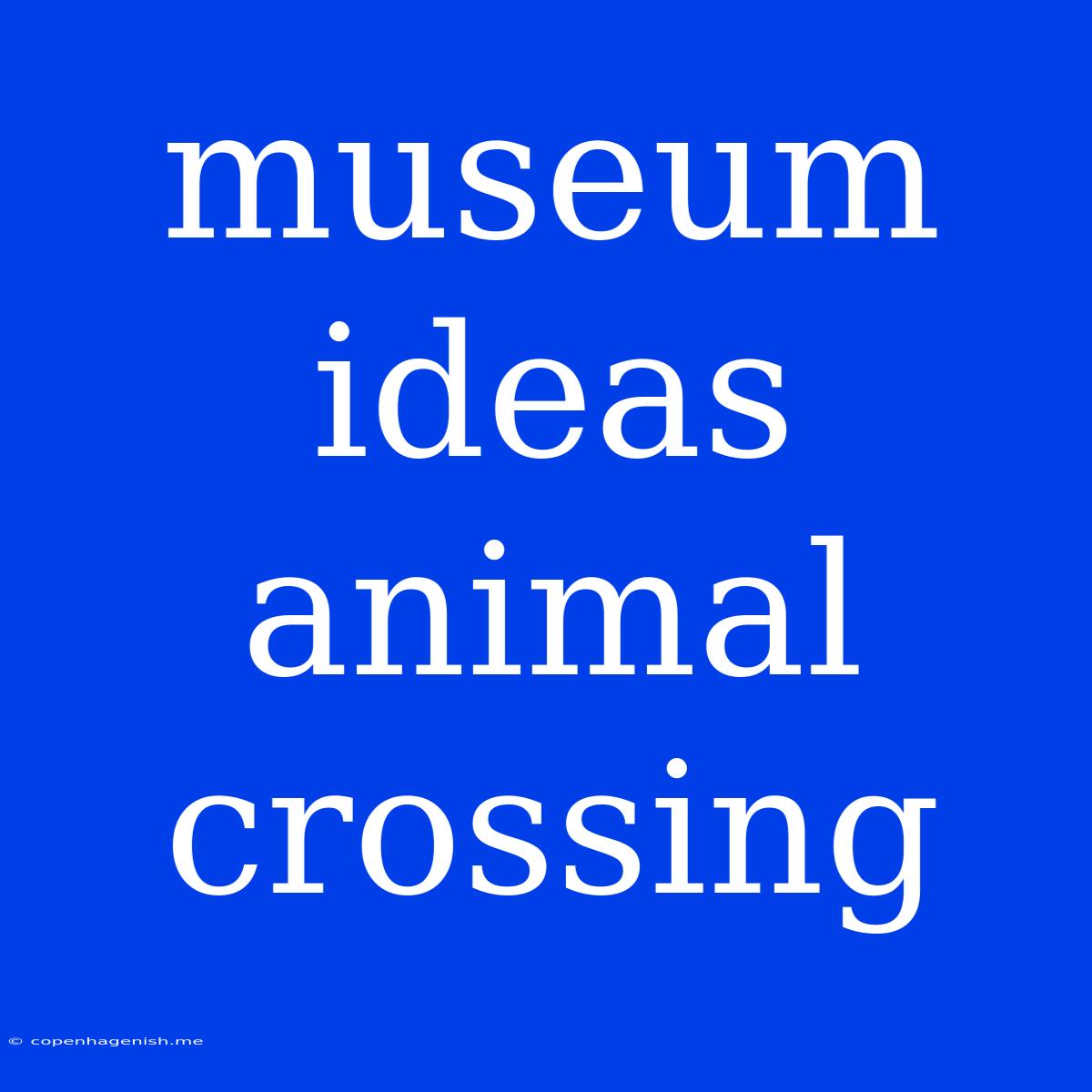 Museum Ideas Animal Crossing