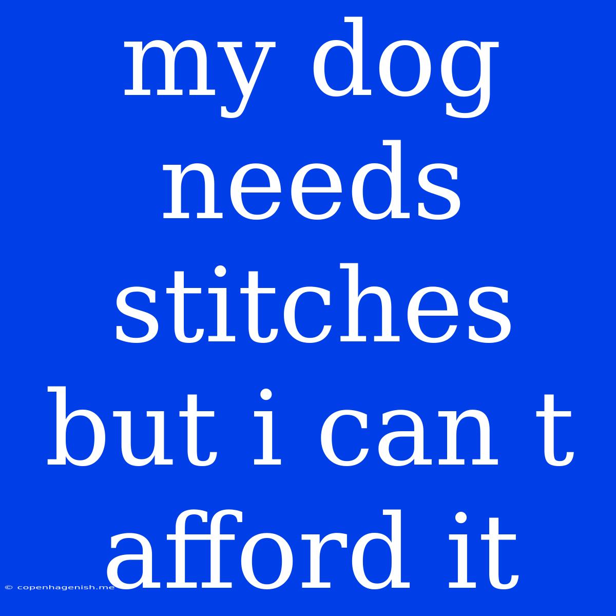 My Dog Needs Stitches But I Can T Afford It