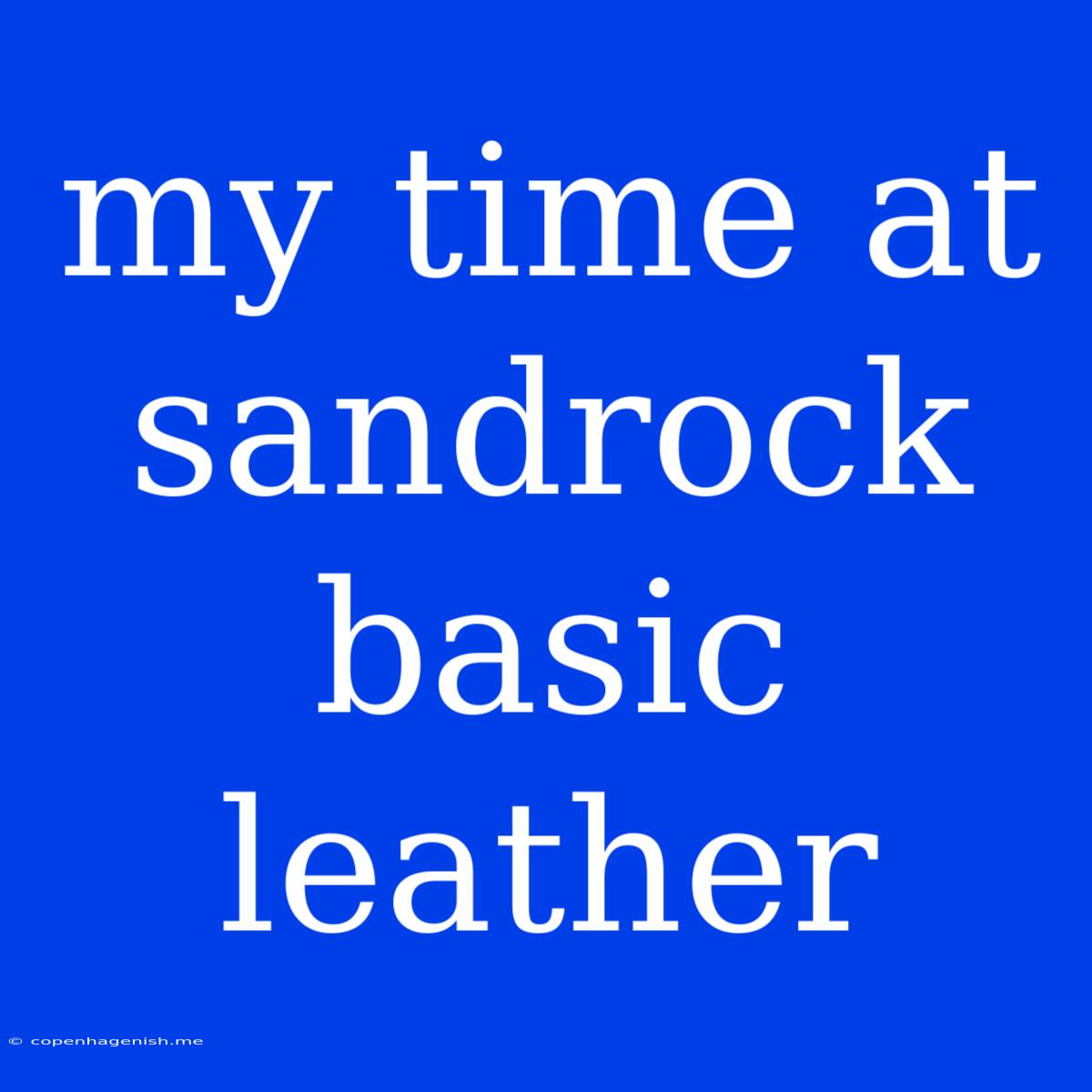 My Time At Sandrock Basic Leather