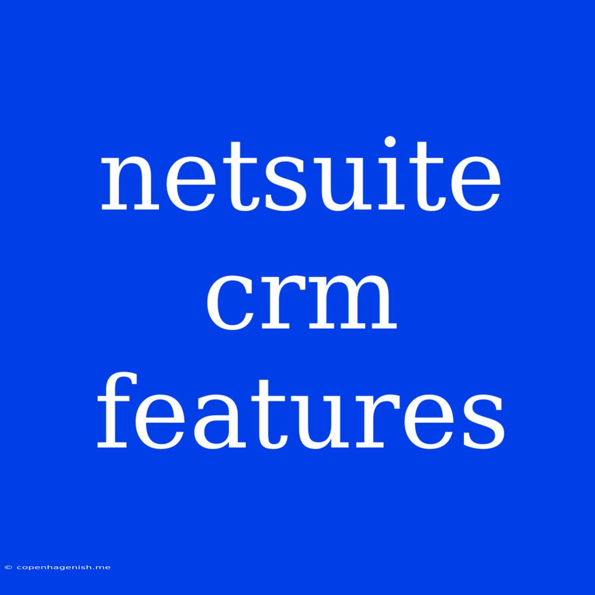 Netsuite Crm Features