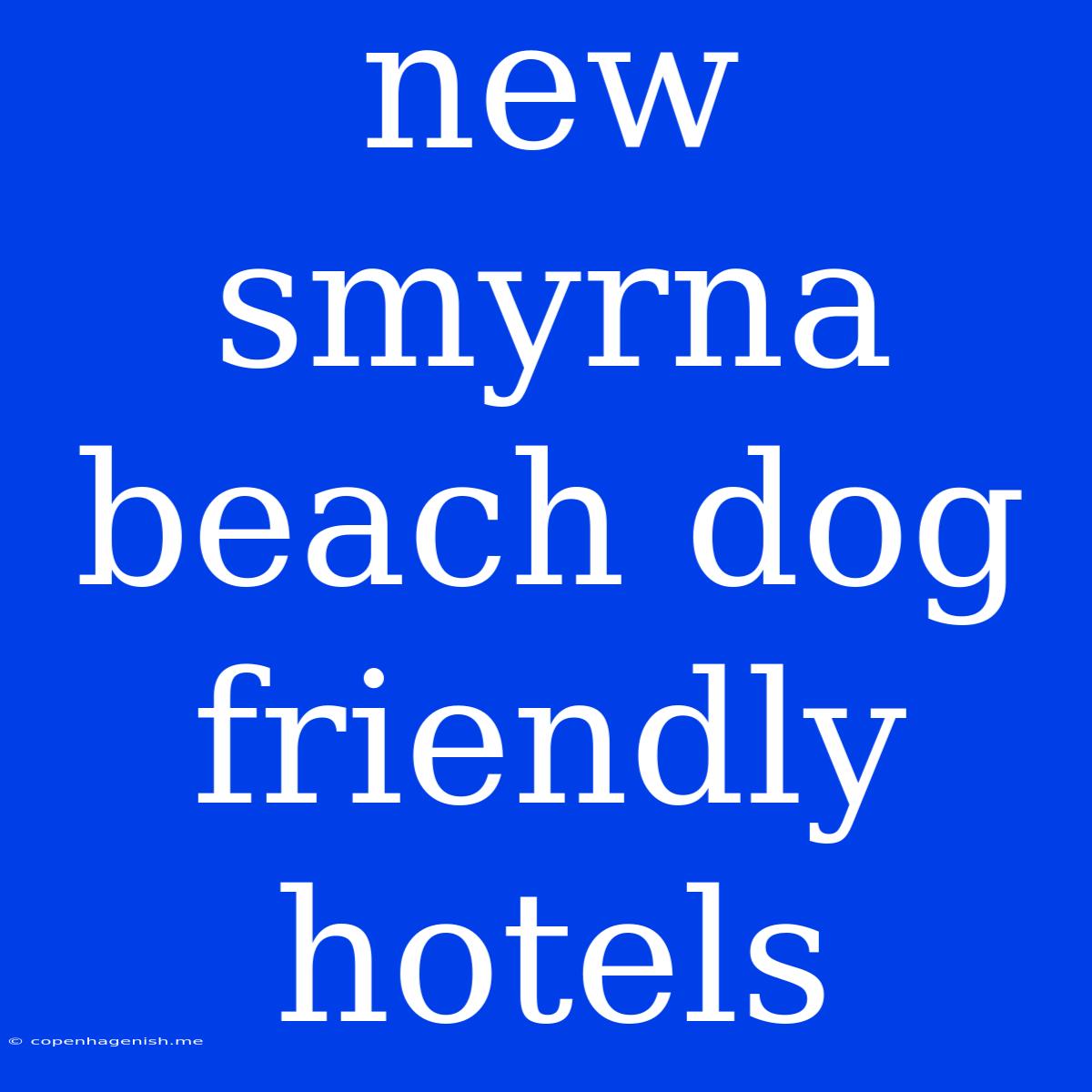 New Smyrna Beach Dog Friendly Hotels