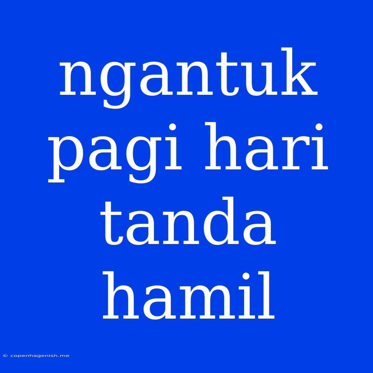 Ngantuk Pagi Hari Tanda Hamil