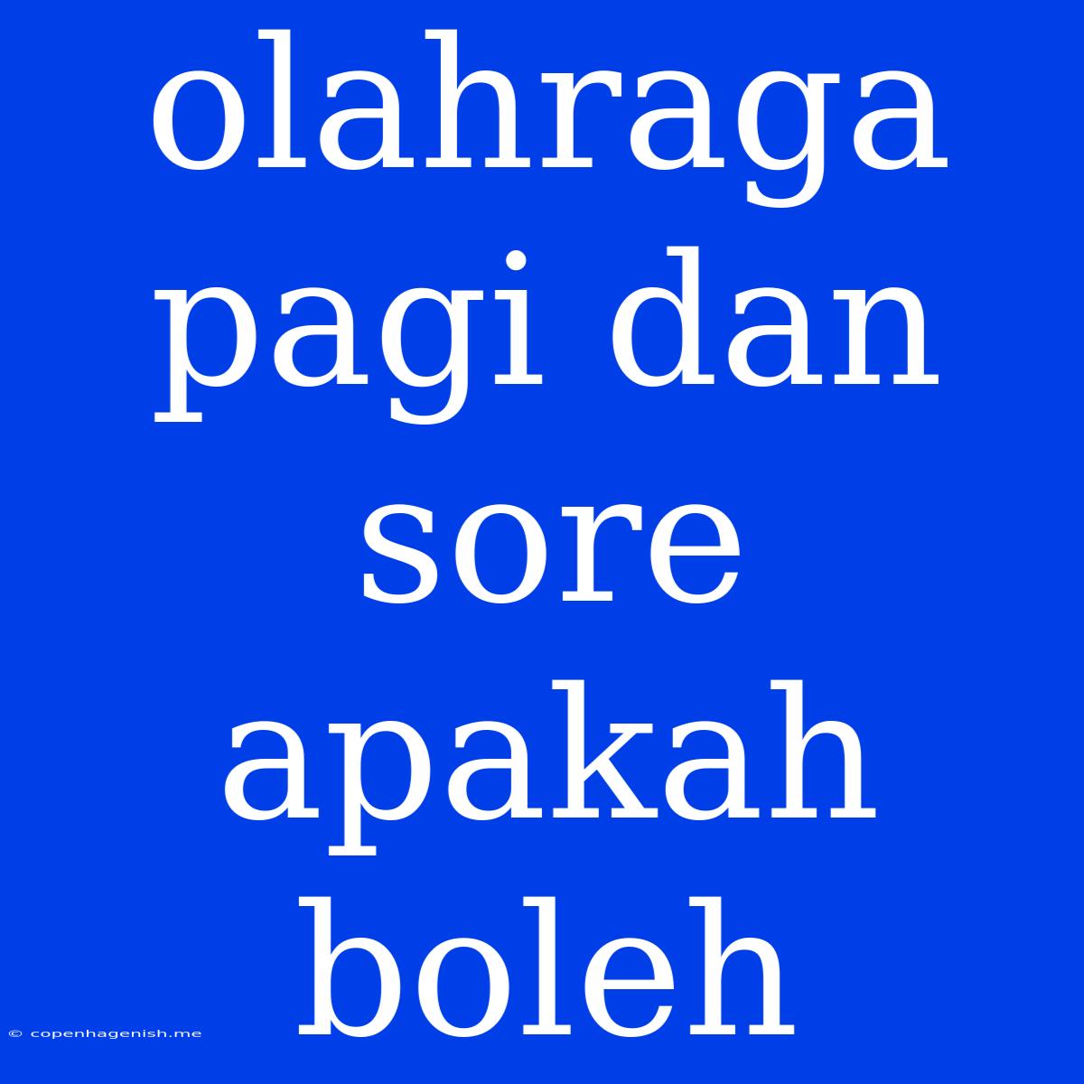 Olahraga Pagi Dan Sore Apakah Boleh