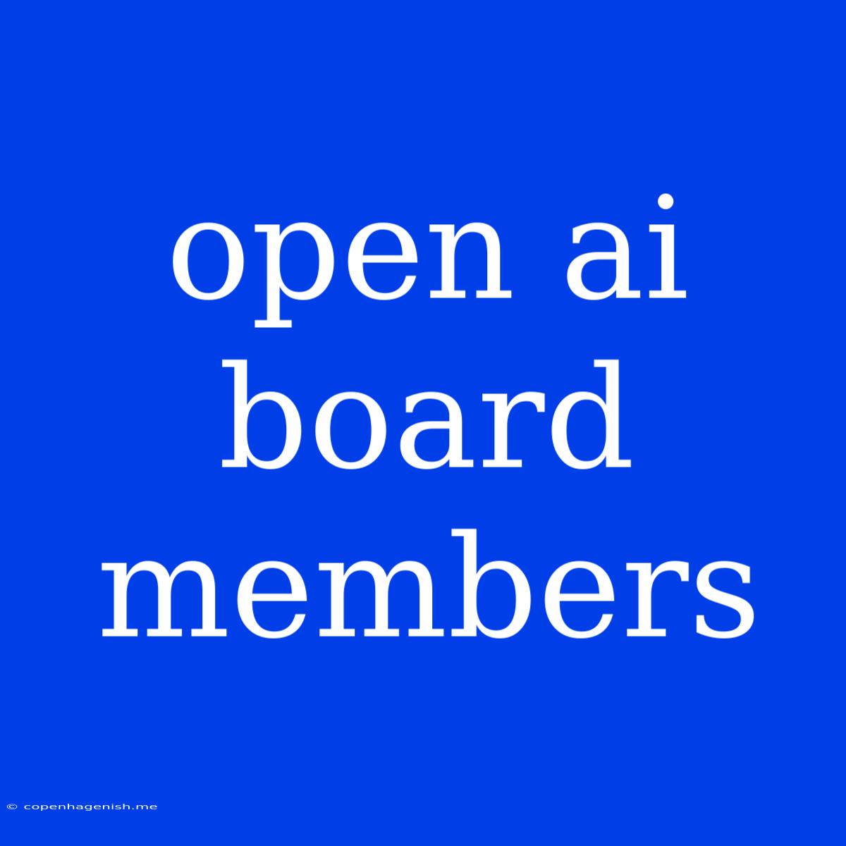 Open Ai Board Members