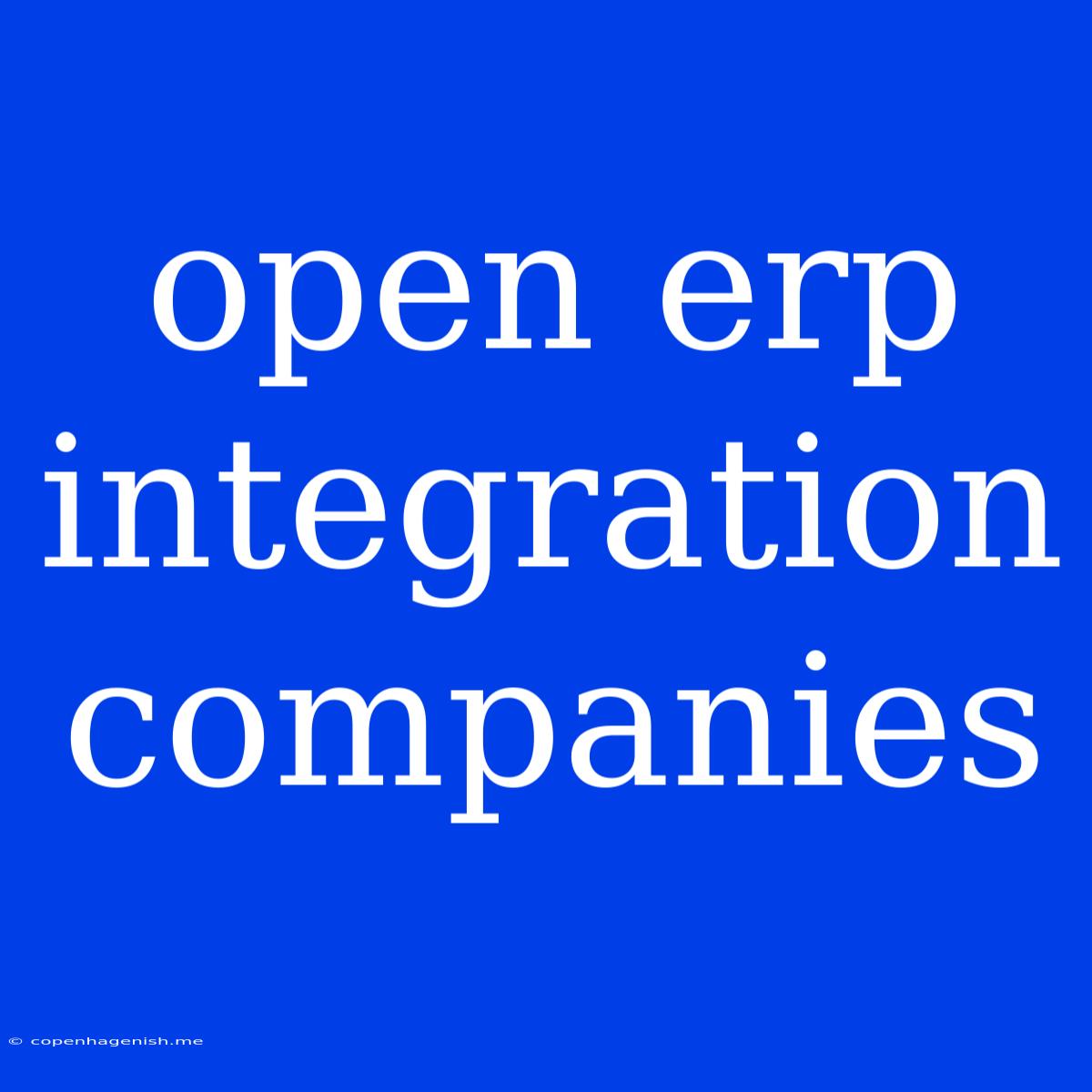 Open Erp Integration Companies