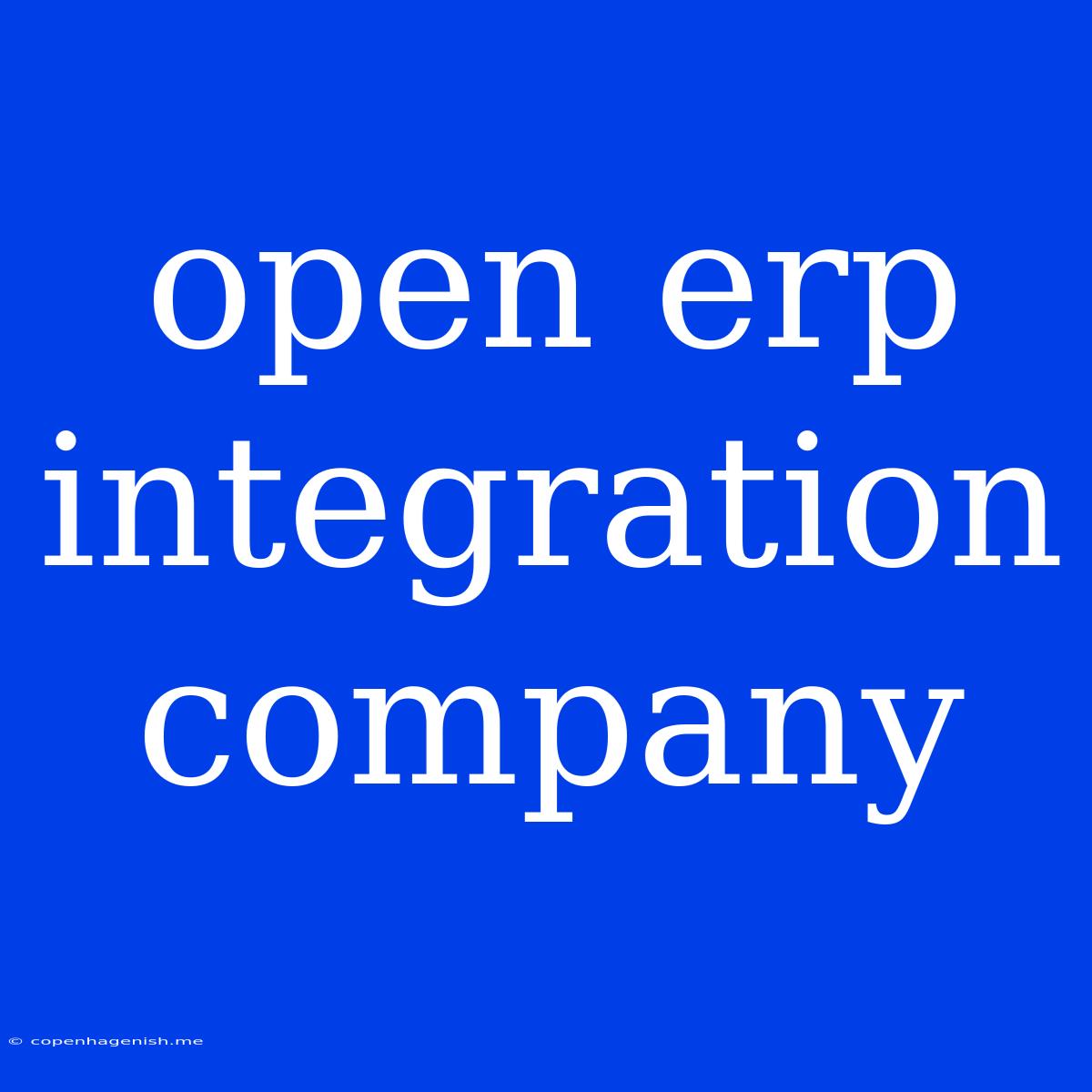 Open Erp Integration Company