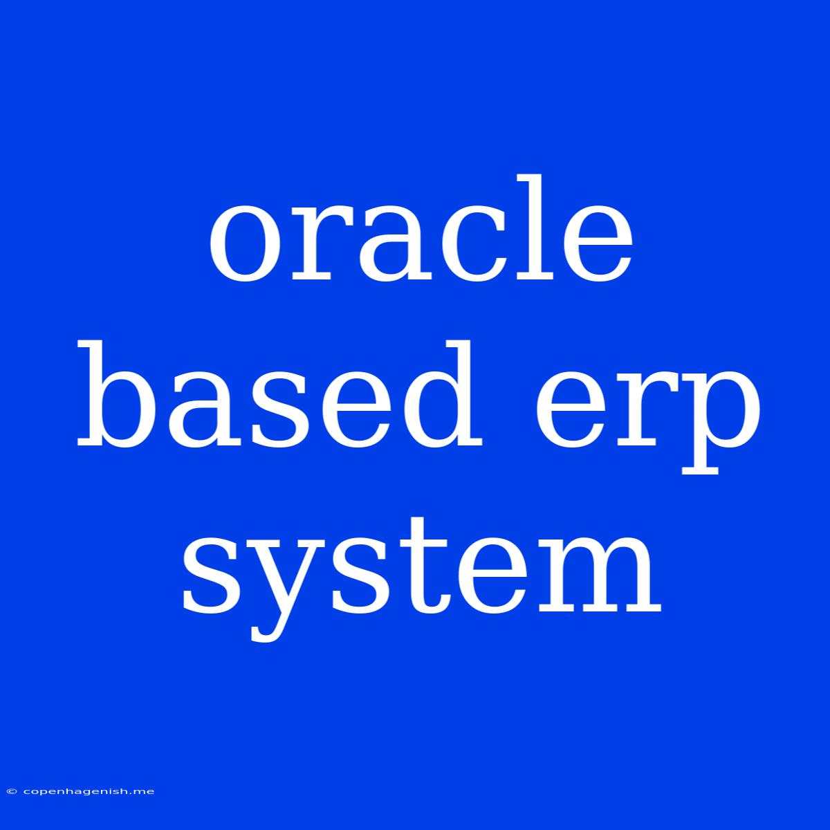 Oracle Based Erp System