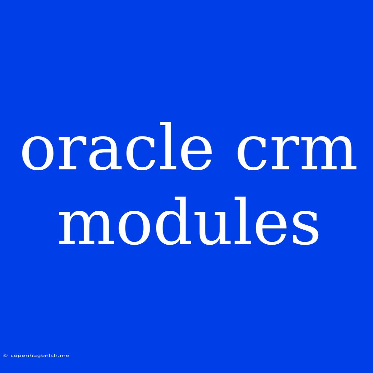 Oracle Crm Modules