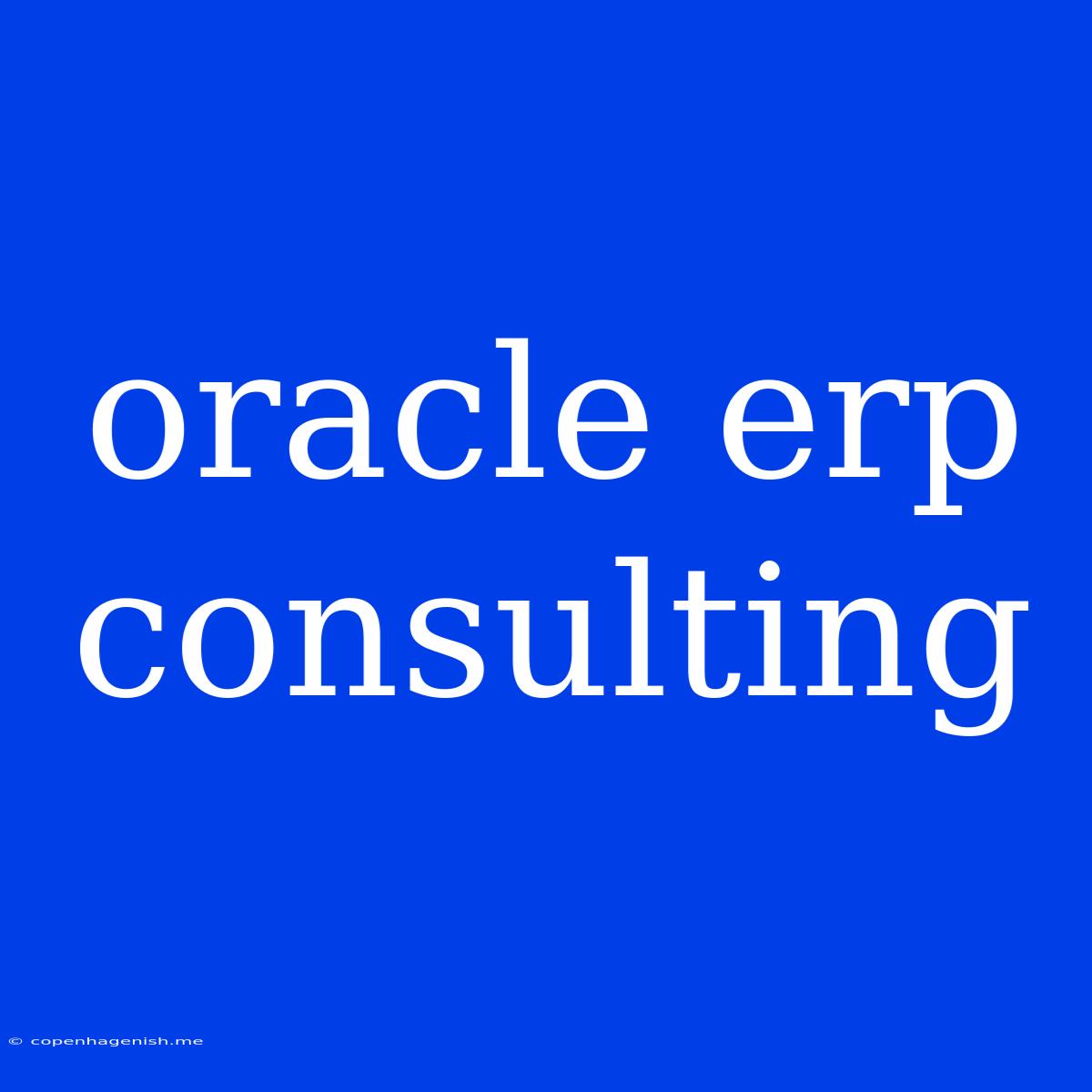 Oracle Erp Consulting