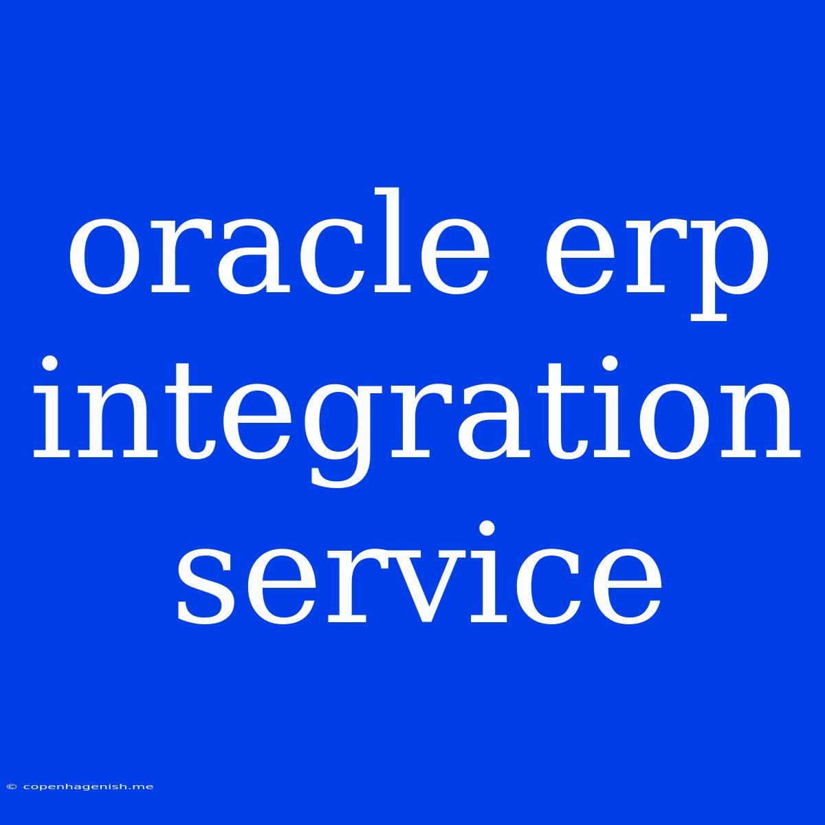 Oracle Erp Integration Service