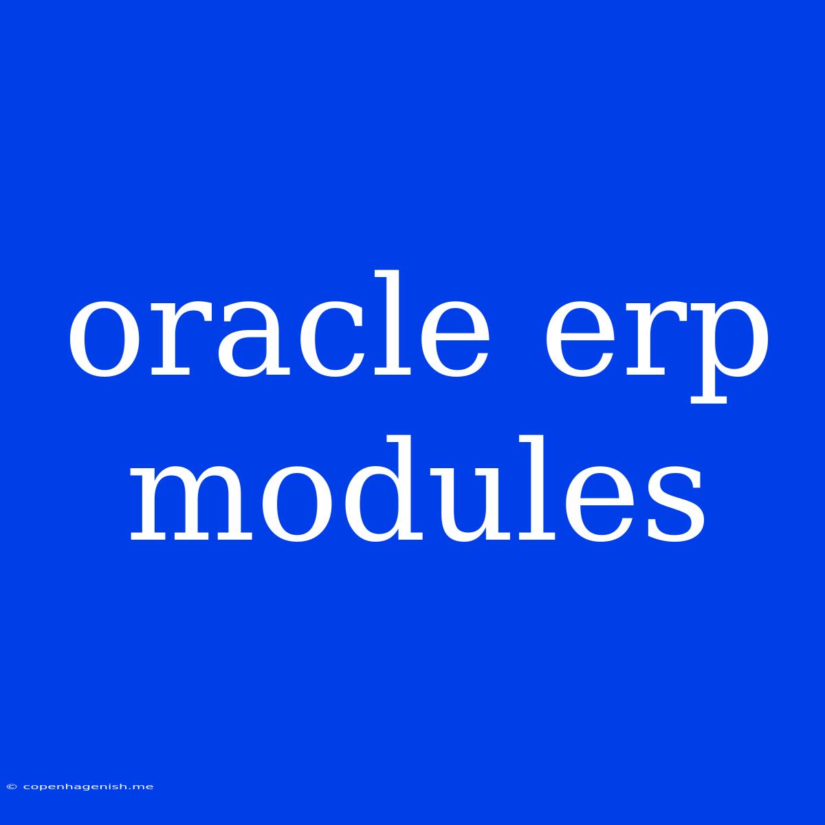 Oracle Erp Modules