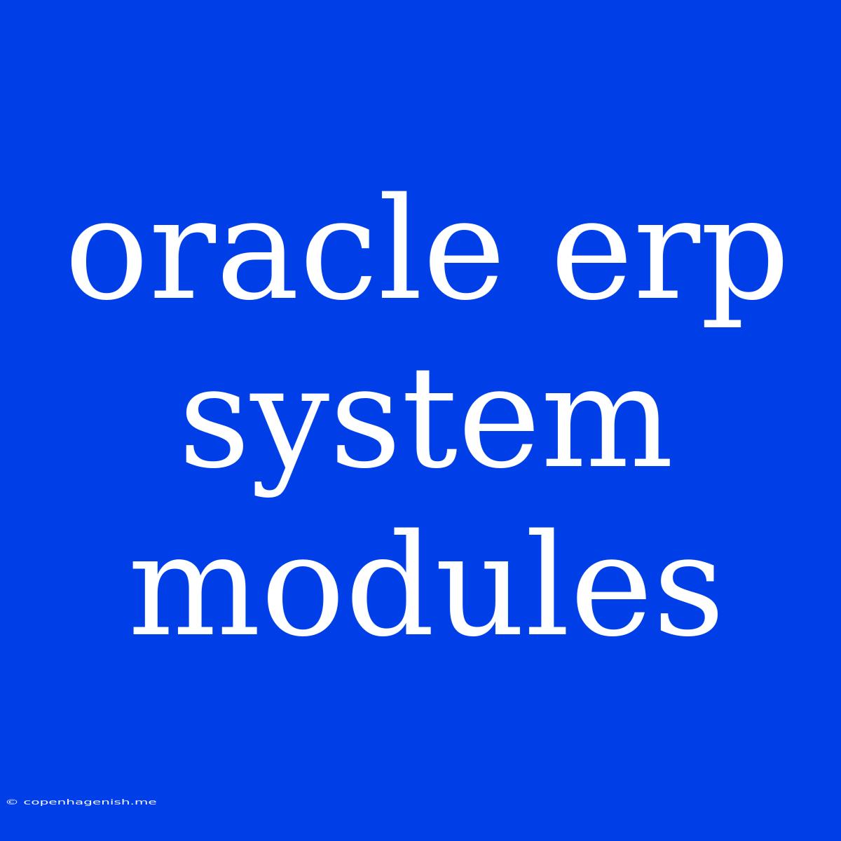 Oracle Erp System Modules