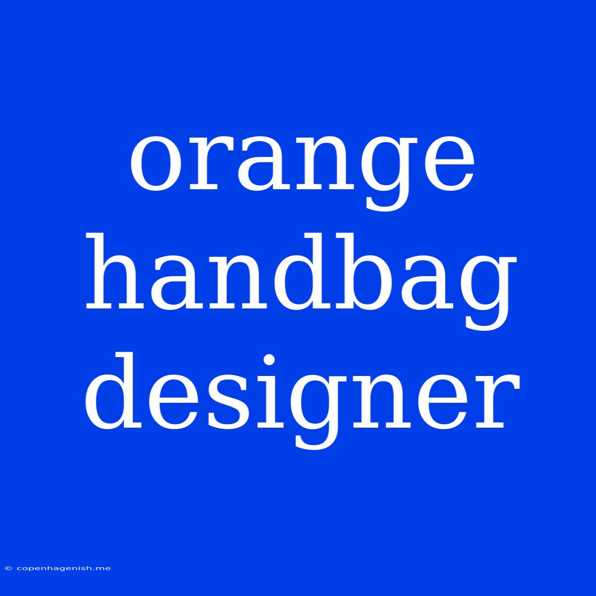 Orange Handbag Designer