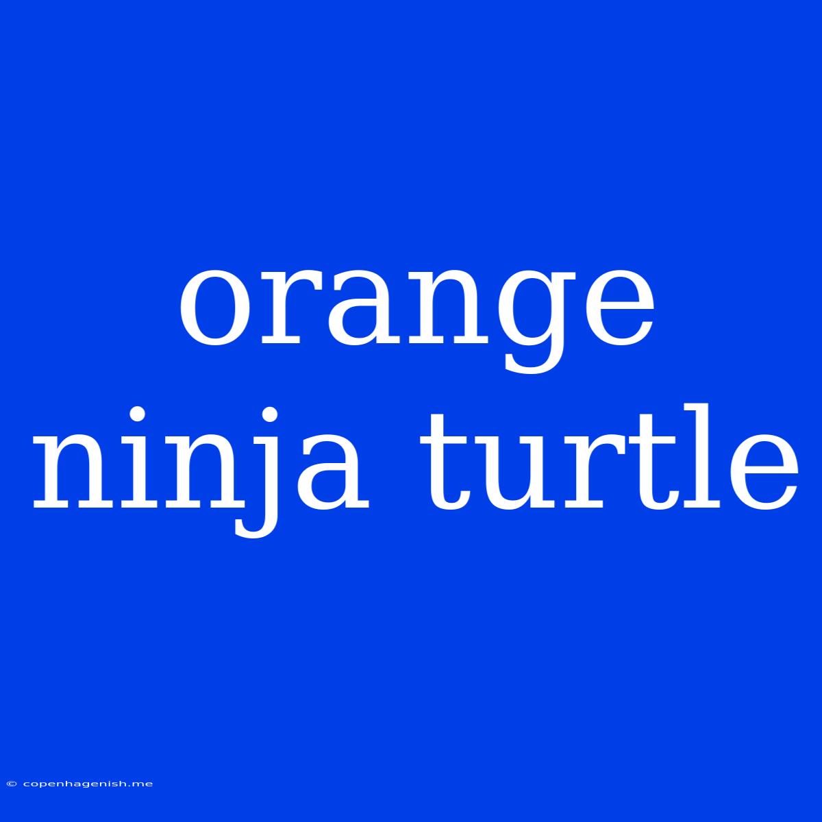 Orange Ninja Turtle