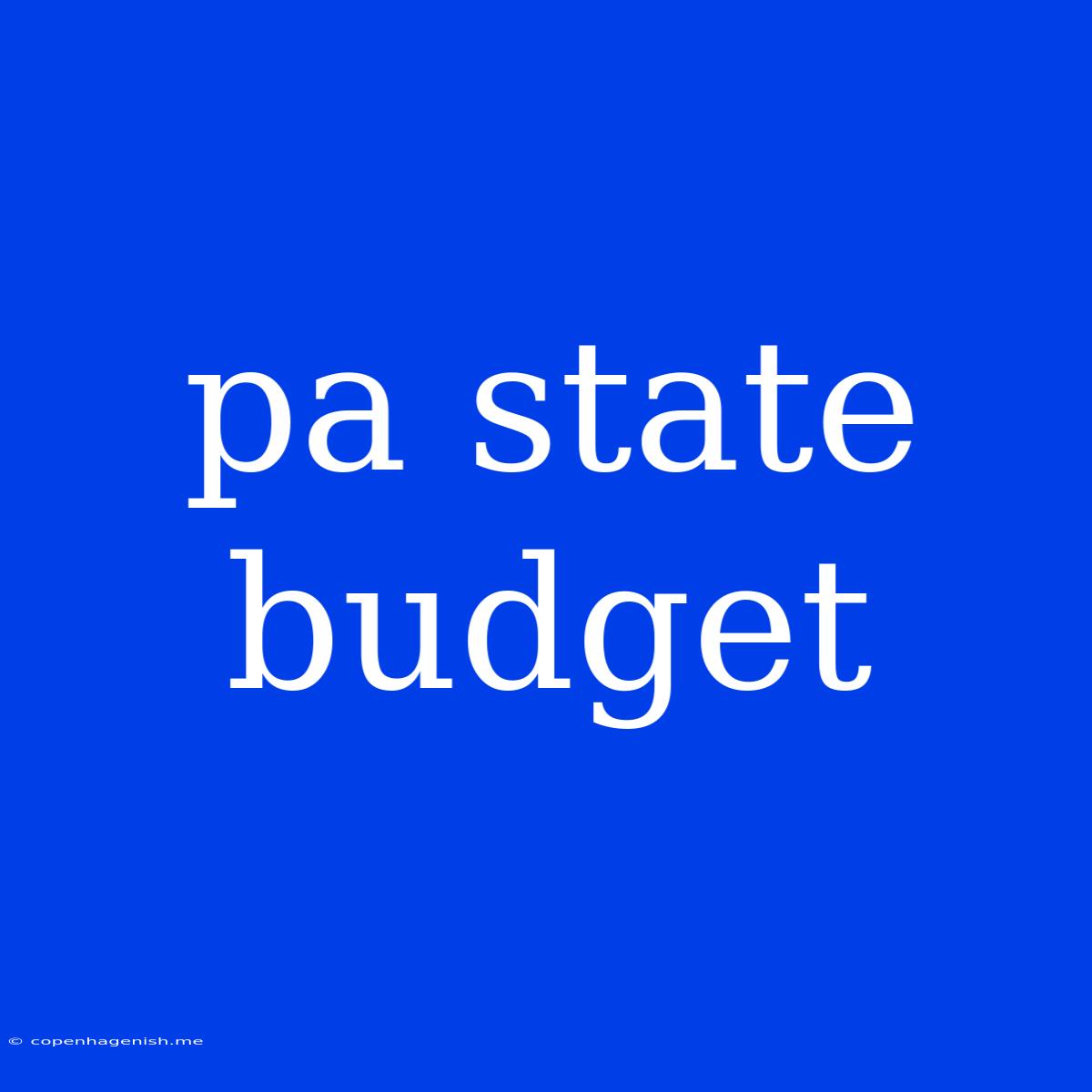 Pa State Budget