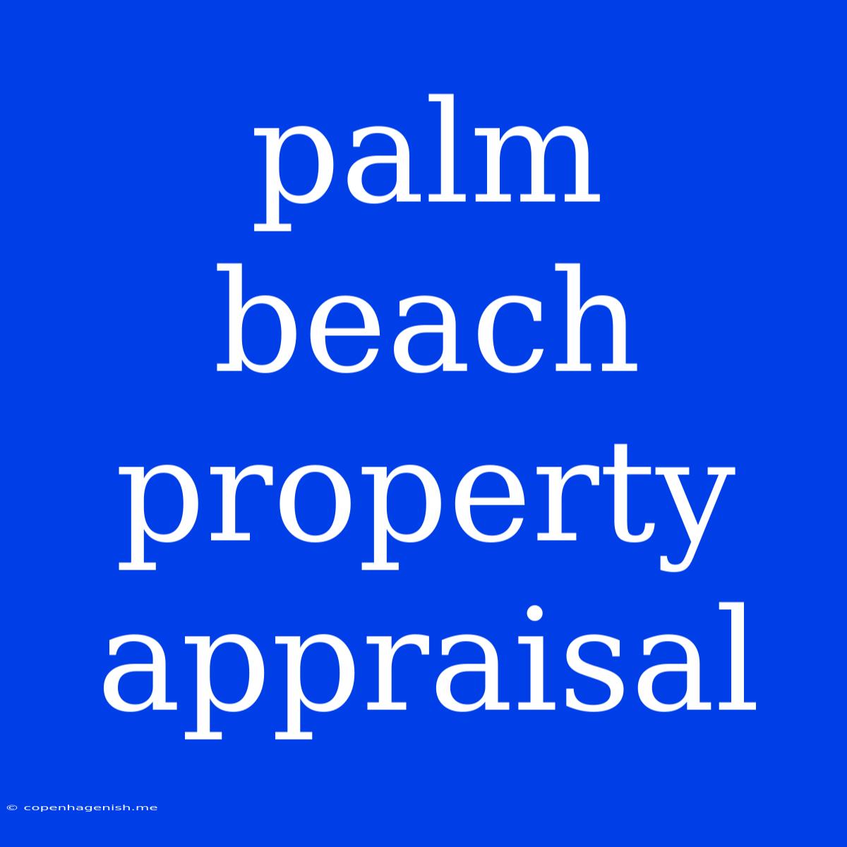 Palm Beach Property Appraisal