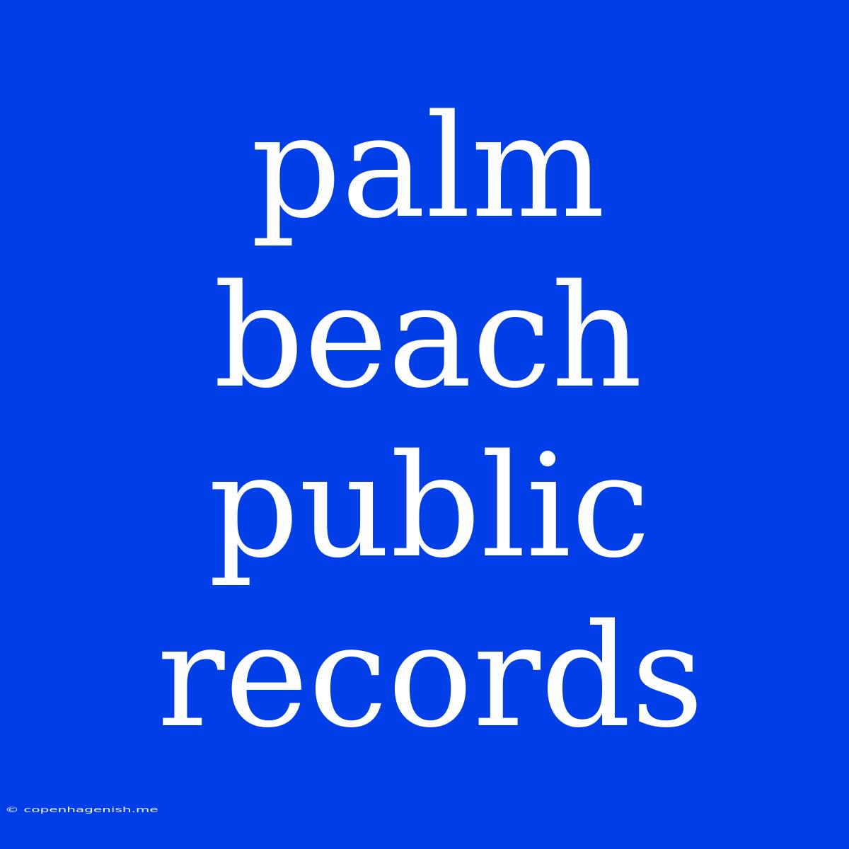 Palm Beach Public Records