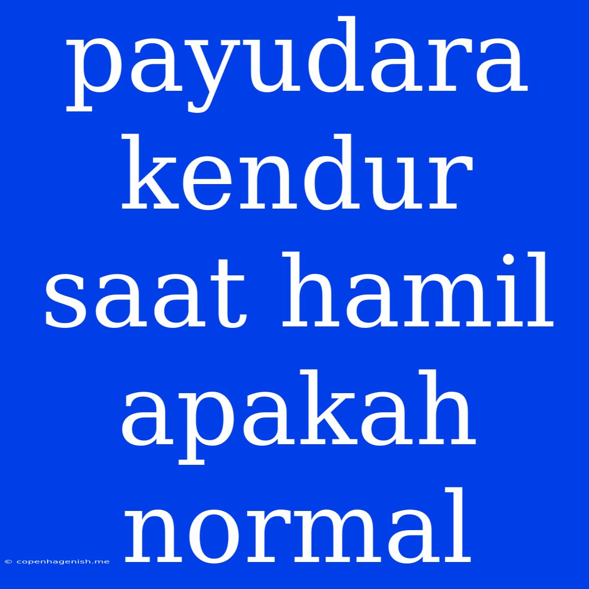 Payudara Kendur Saat Hamil Apakah Normal