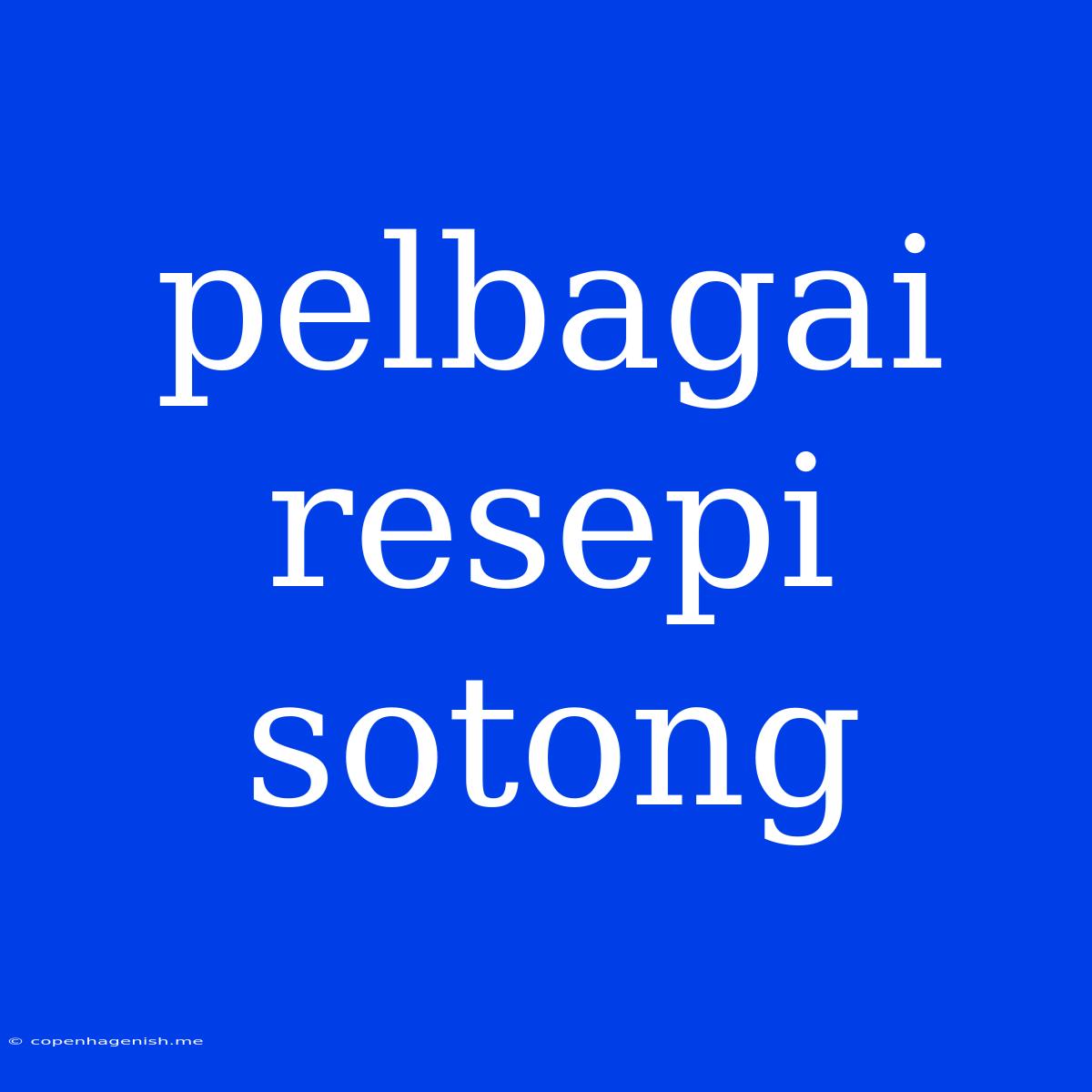 Pelbagai Resepi Sotong