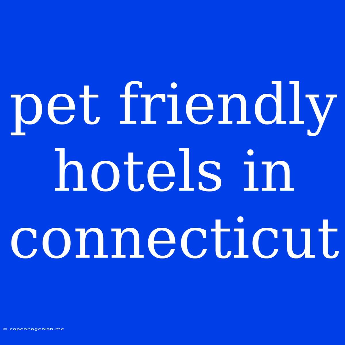 Pet Friendly Hotels In Connecticut